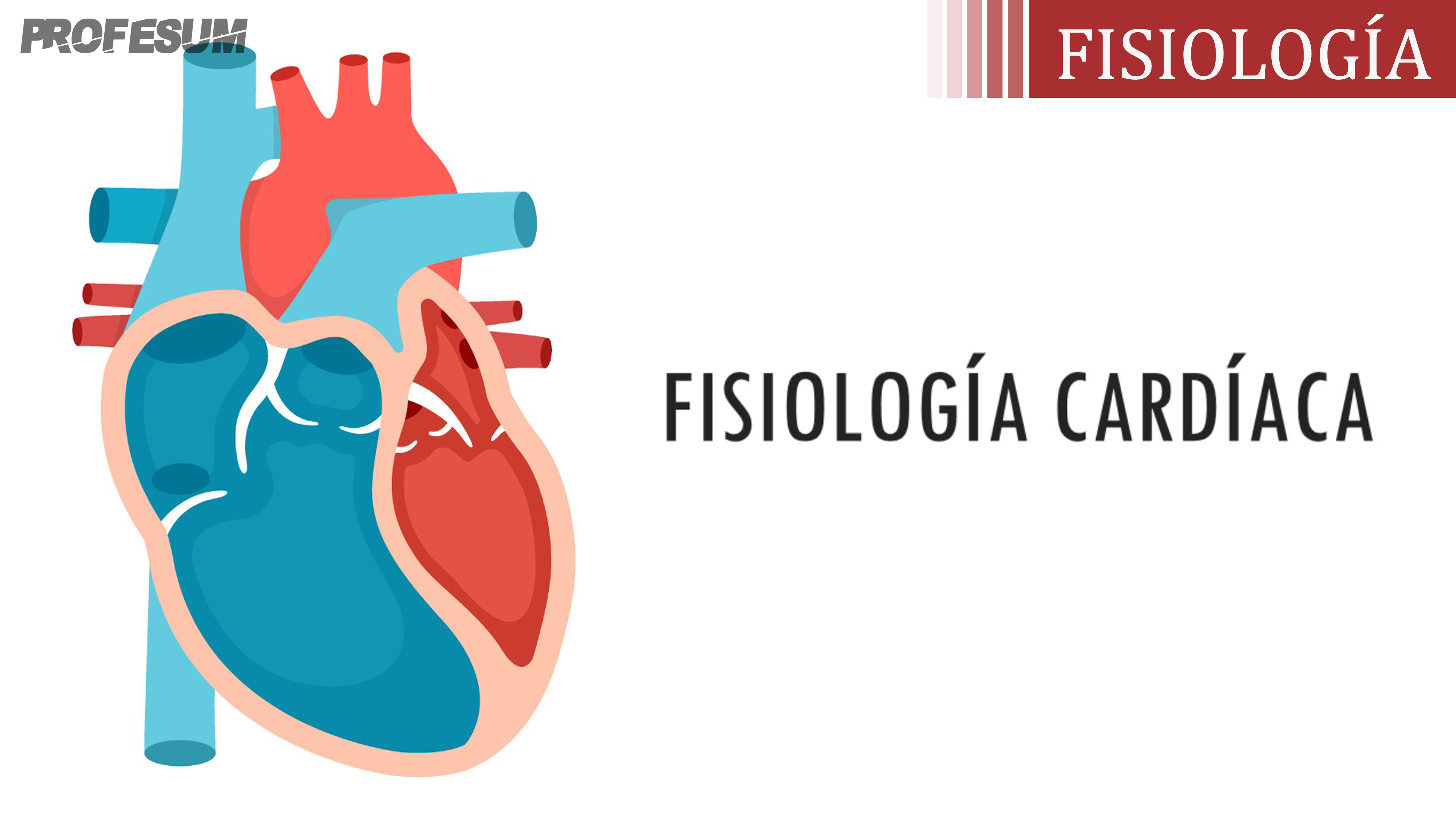 Fisiología Cardíaca