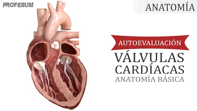Autoevaluación Válvulas Cardíacas (An...