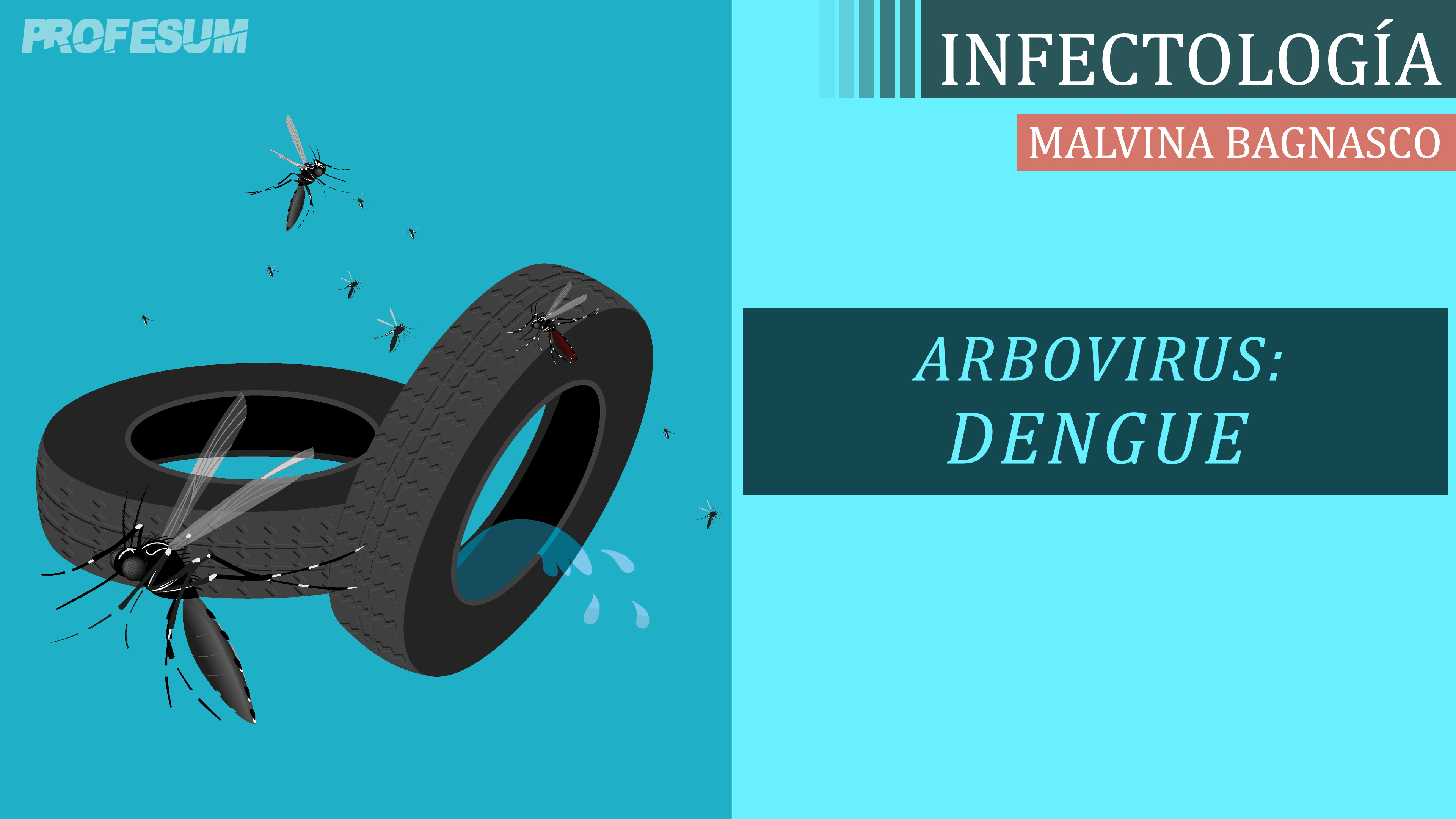 Dengue (Arbovirus) - Malvina Bagnasco