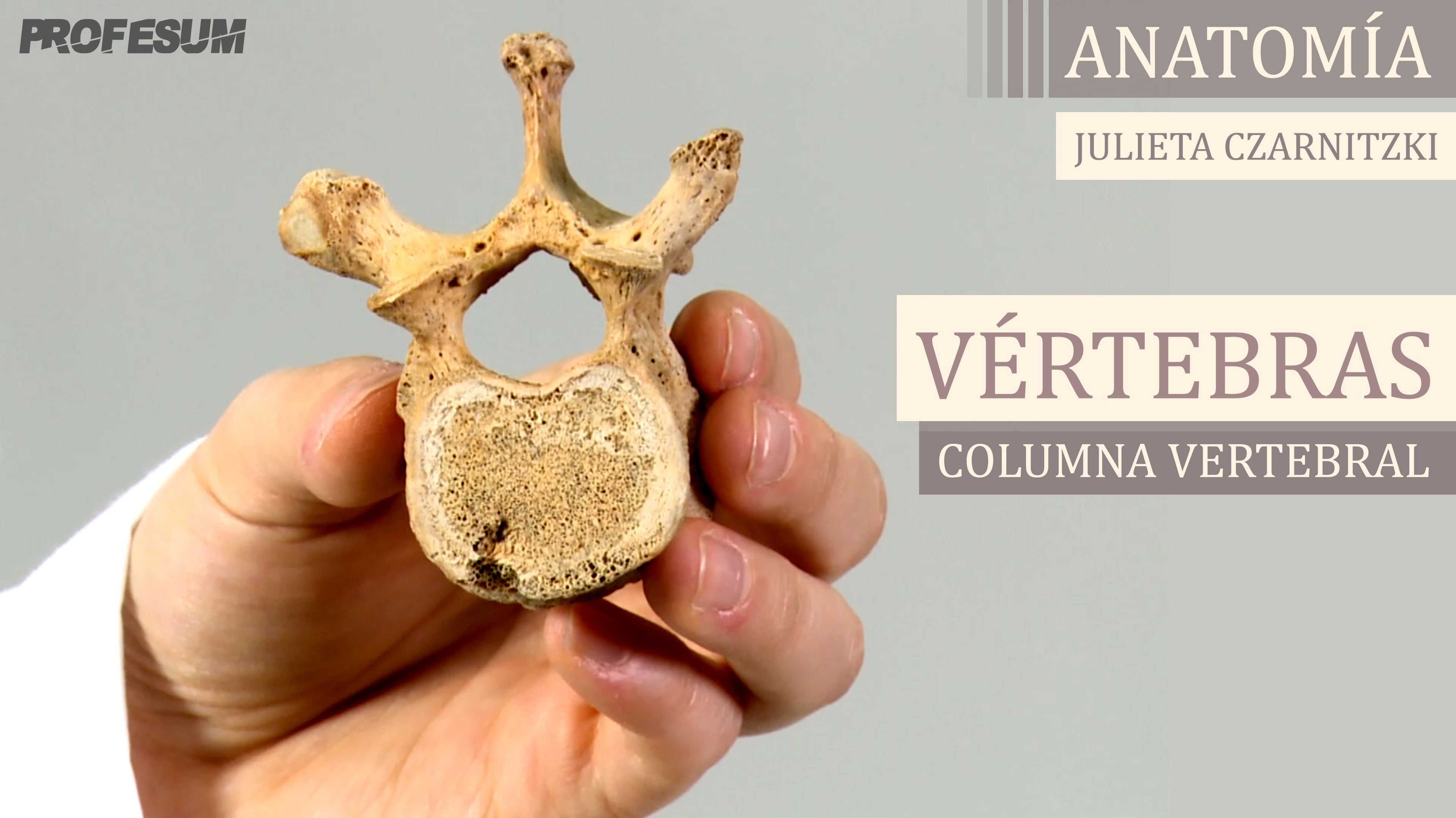 Vértebras (Columna Vertebral) - Julieta Czarnitzki