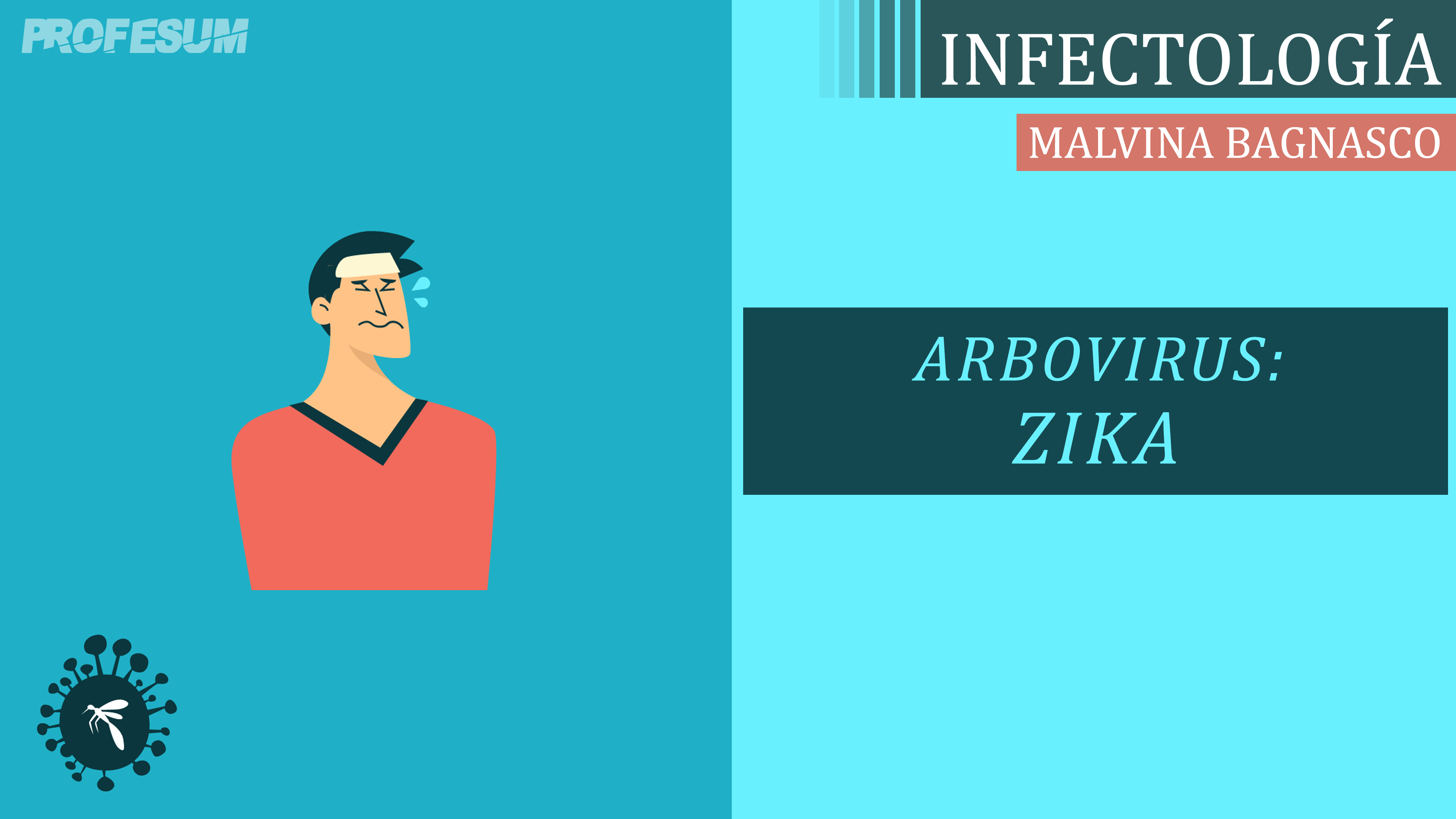 Zika (Arbovirus) - Malvina Bagnasco