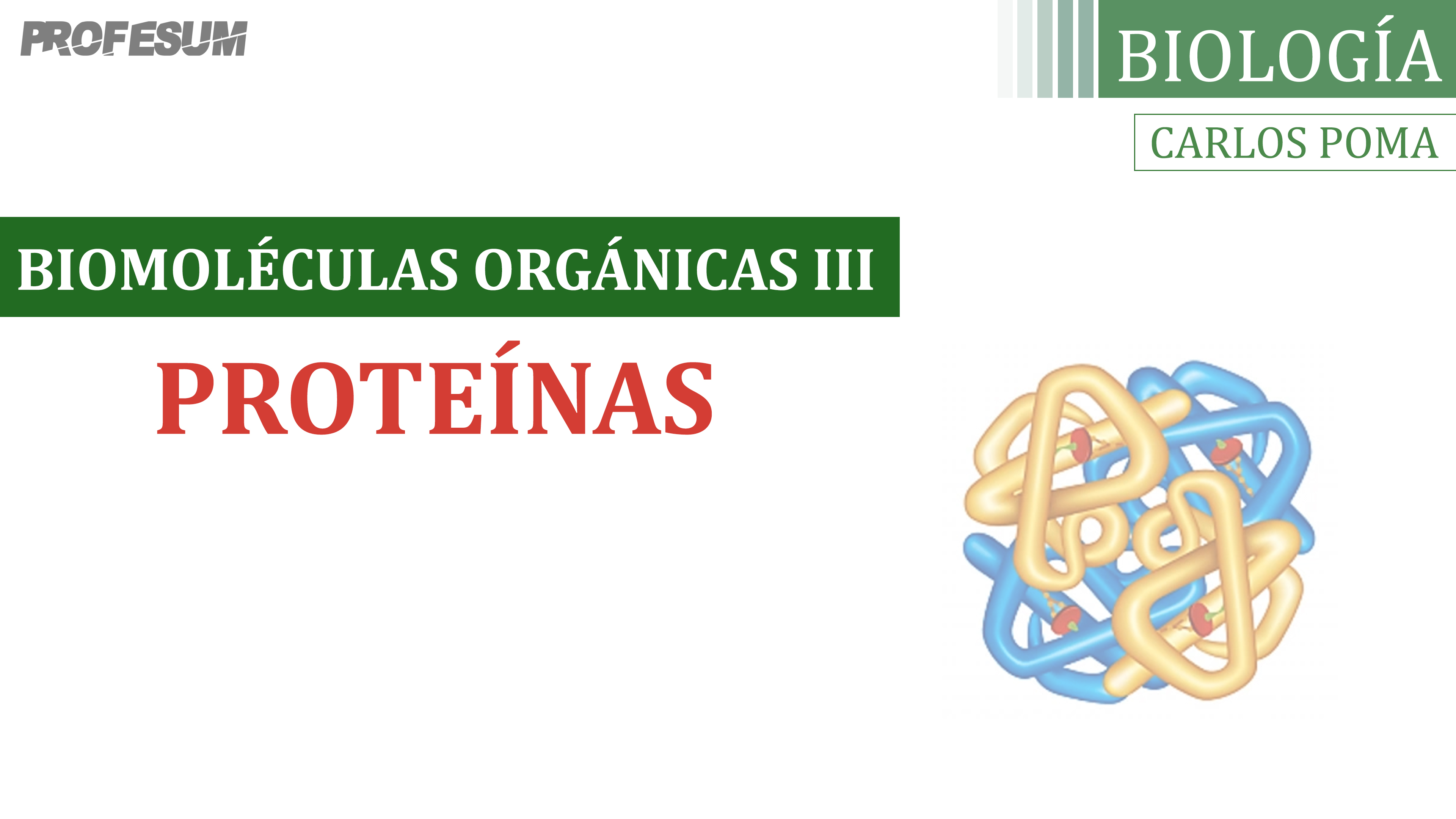 Proteínas (Biomoléculas Orgánicas) - Carlos Poma