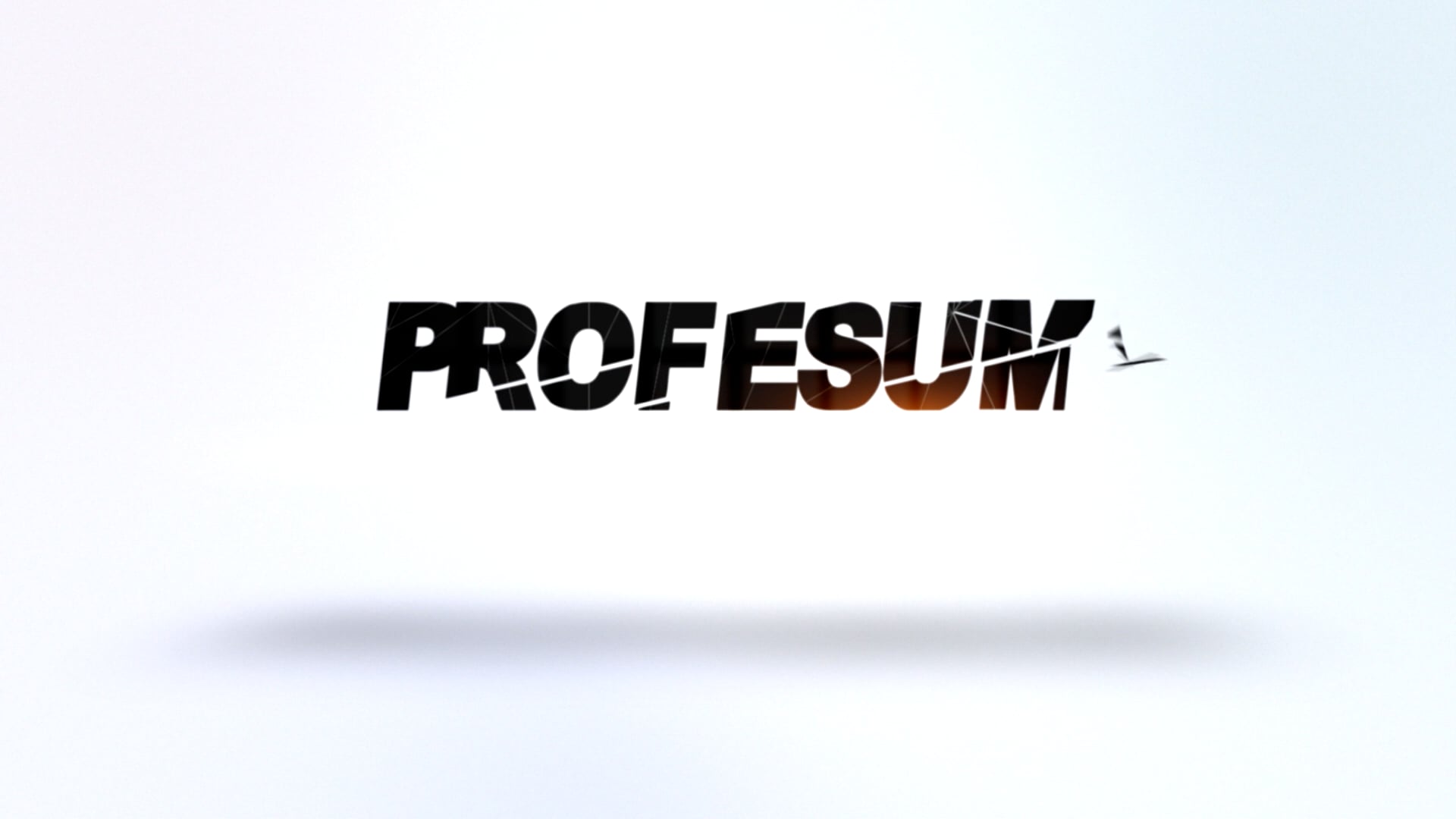 Anatomía Rodilla - Julieta Czarnitzki