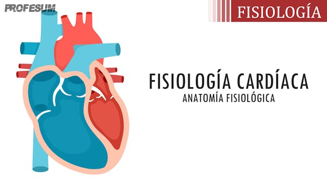 Fisiología Cardíaca - Anatomía Fisiol...