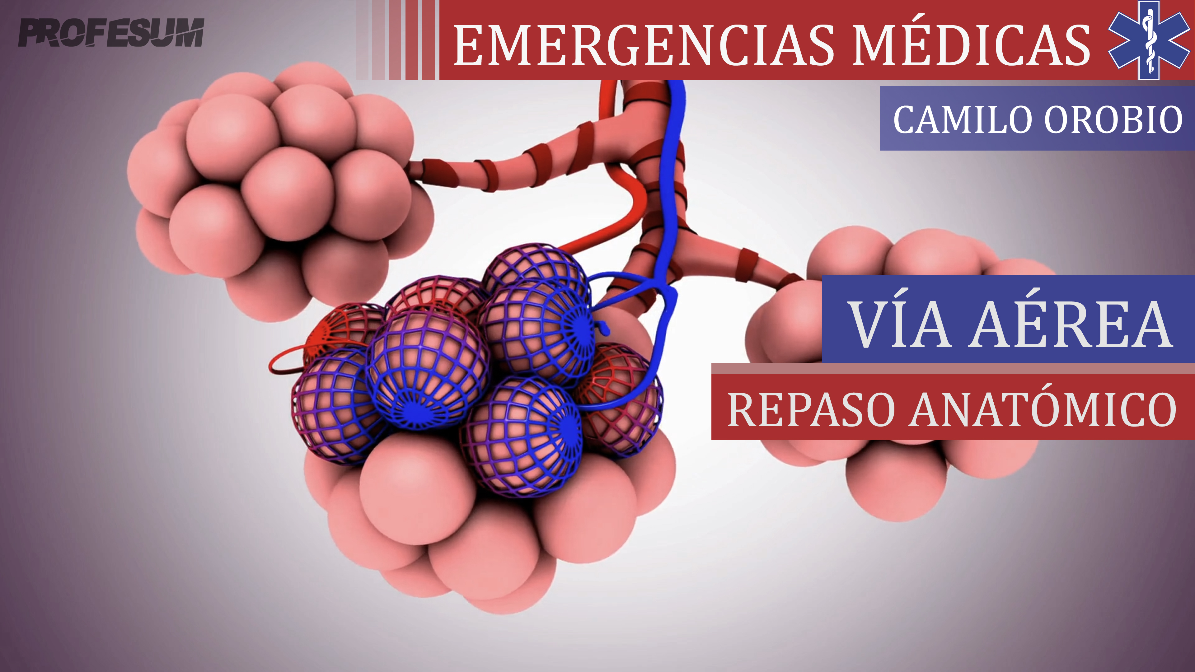 Vía Aérea (Repaso Anatómico) - Camilo Orobio