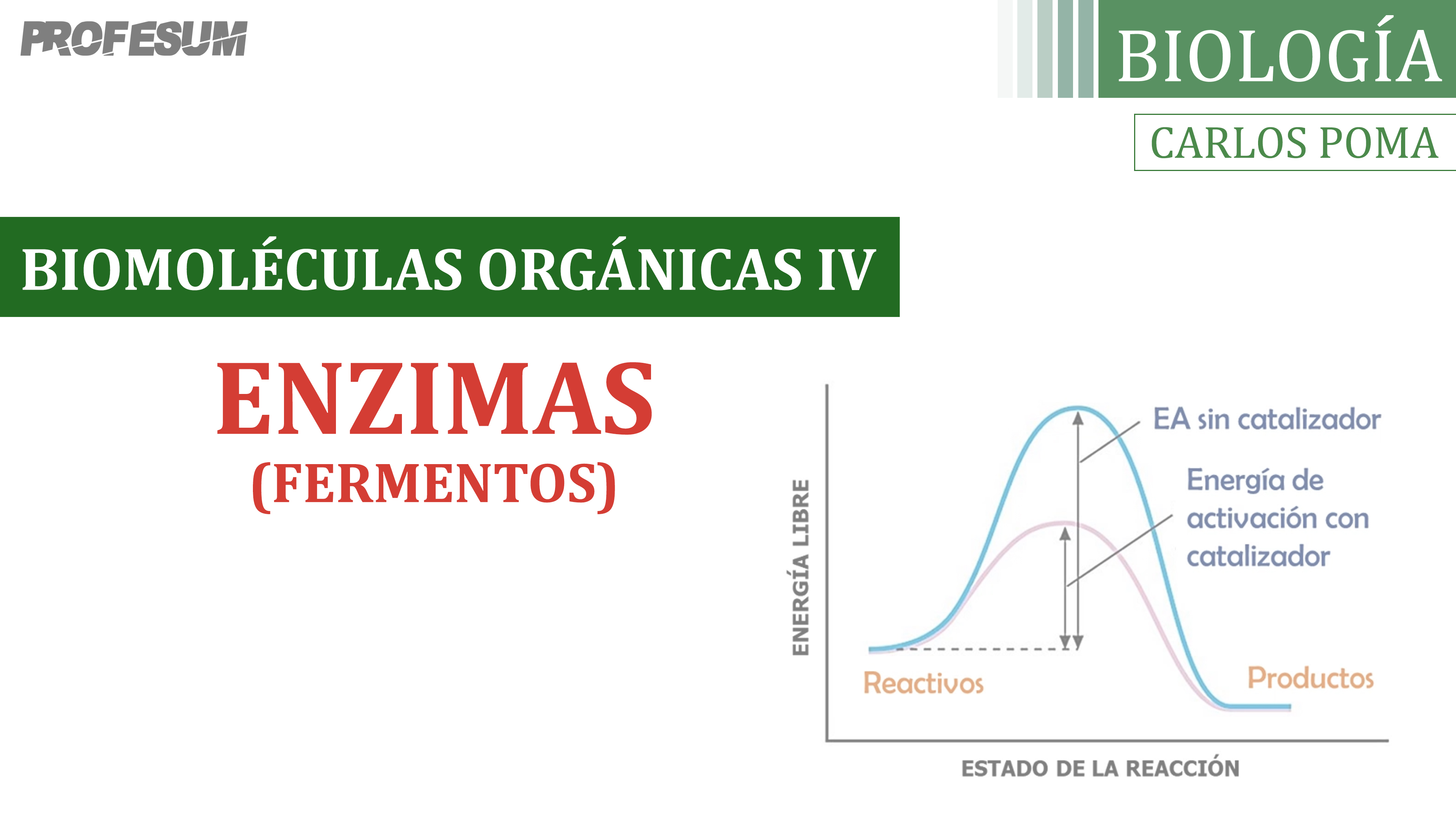 Enzimas (Biomoléculas Orgánicas) - Carlos Poma