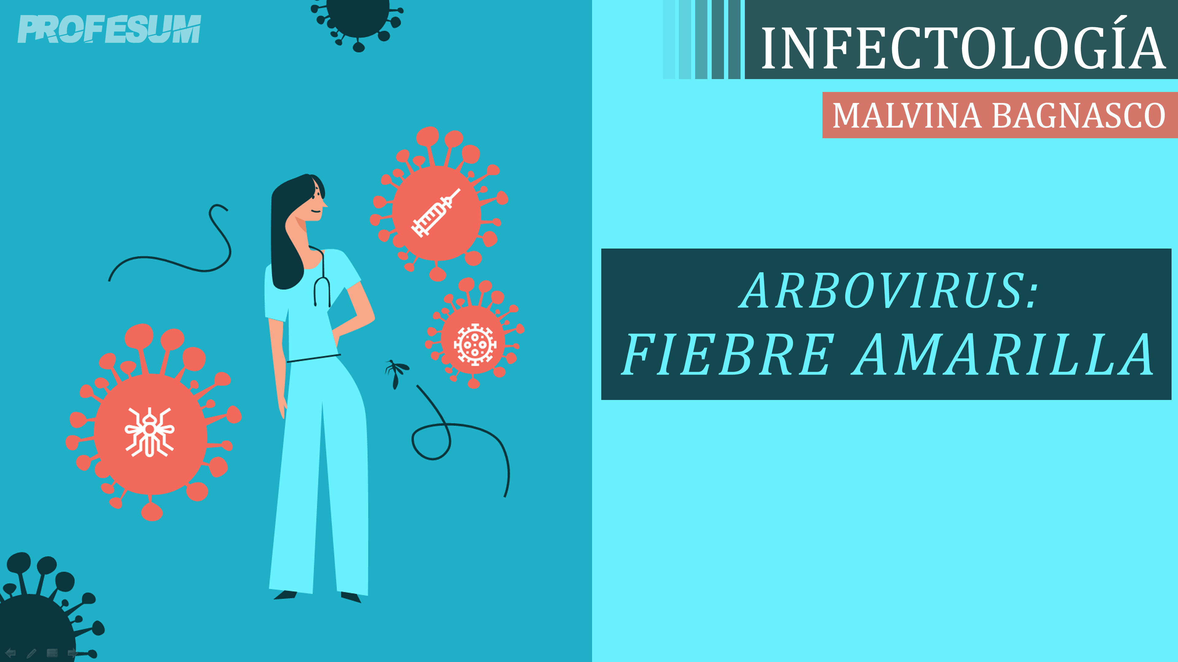 Fiebre Amarilla (Arbovirus) - Malvina Bagnasco