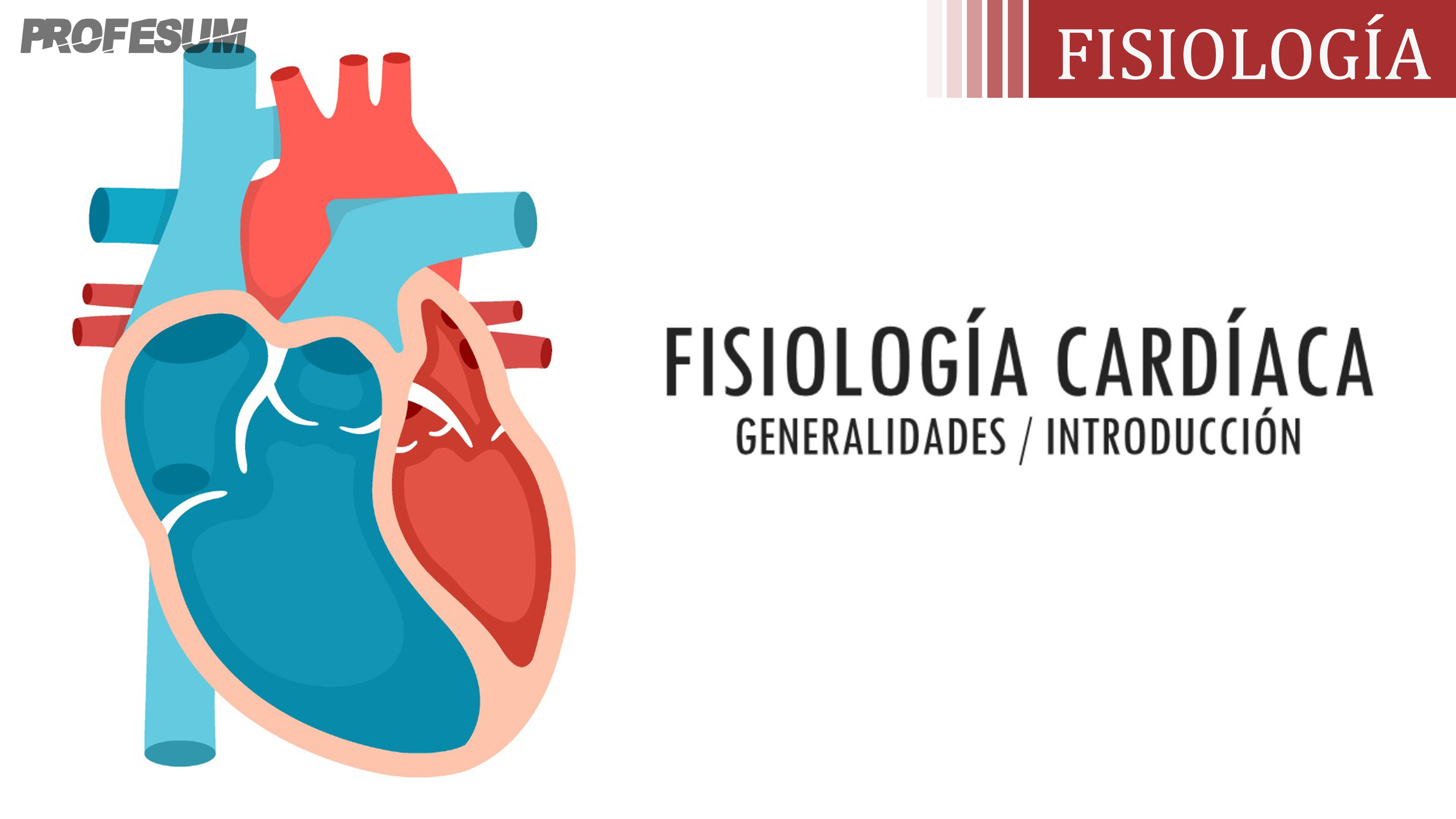 Fisiología Cardíaca - Generalidades / Introducción - PROFESUM