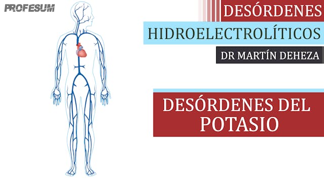 Desórdenes del Potasio - Dr. Martín D...