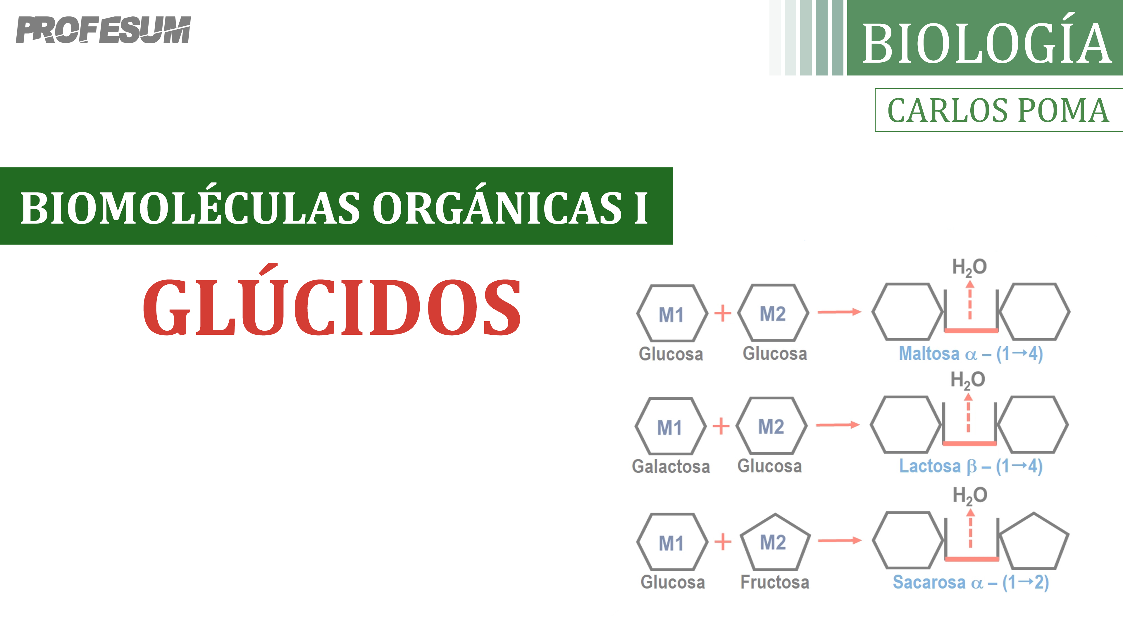 Glúcidos (Biomoléculas Orgánicas) - Carlos Poma