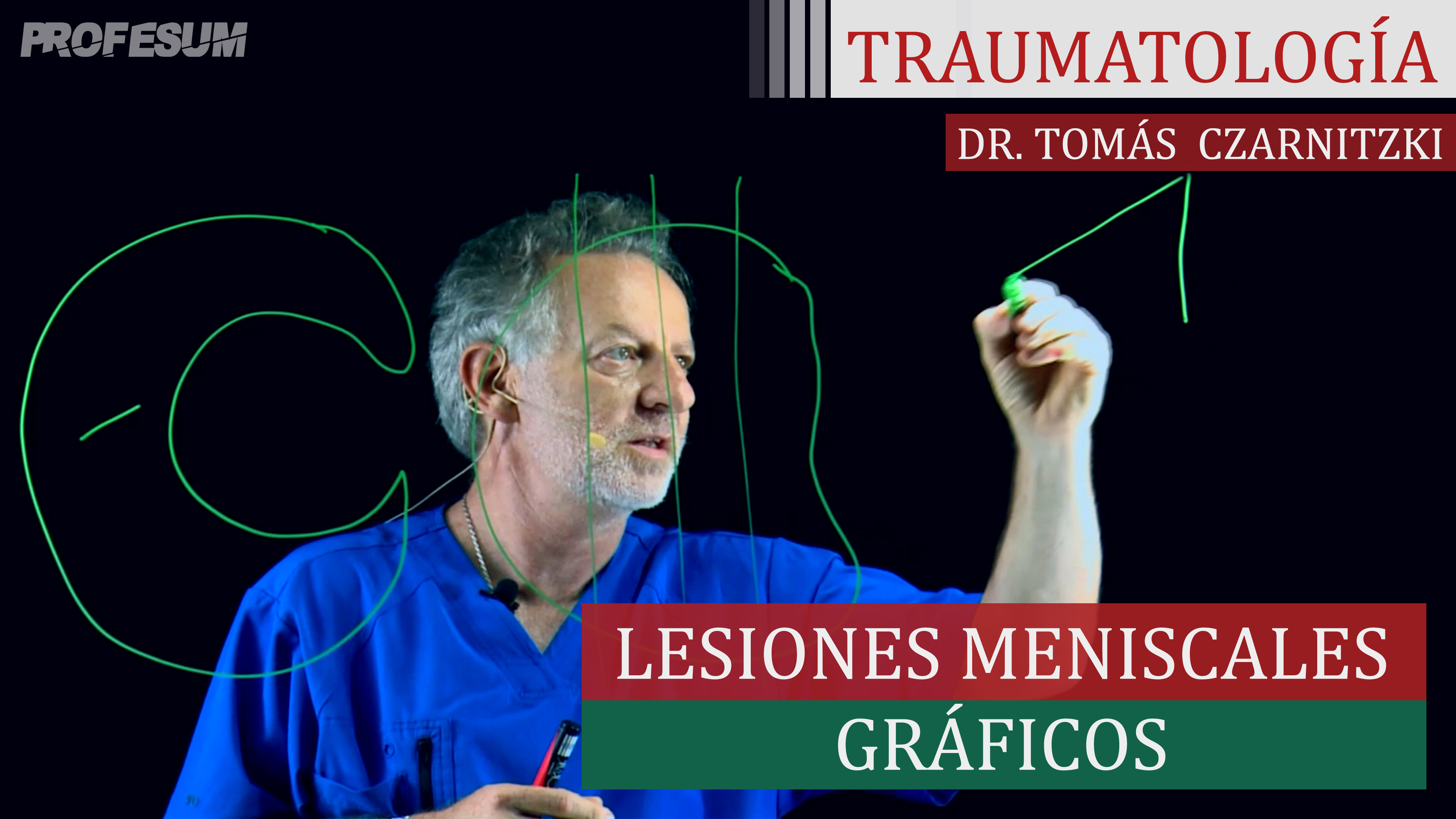 Lesiones Meniscales Gráficos - Dr. Tomas Czarnitzki