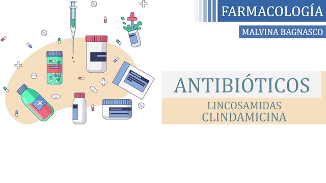 Lincosamidas (Clindamicina) - Malvina...