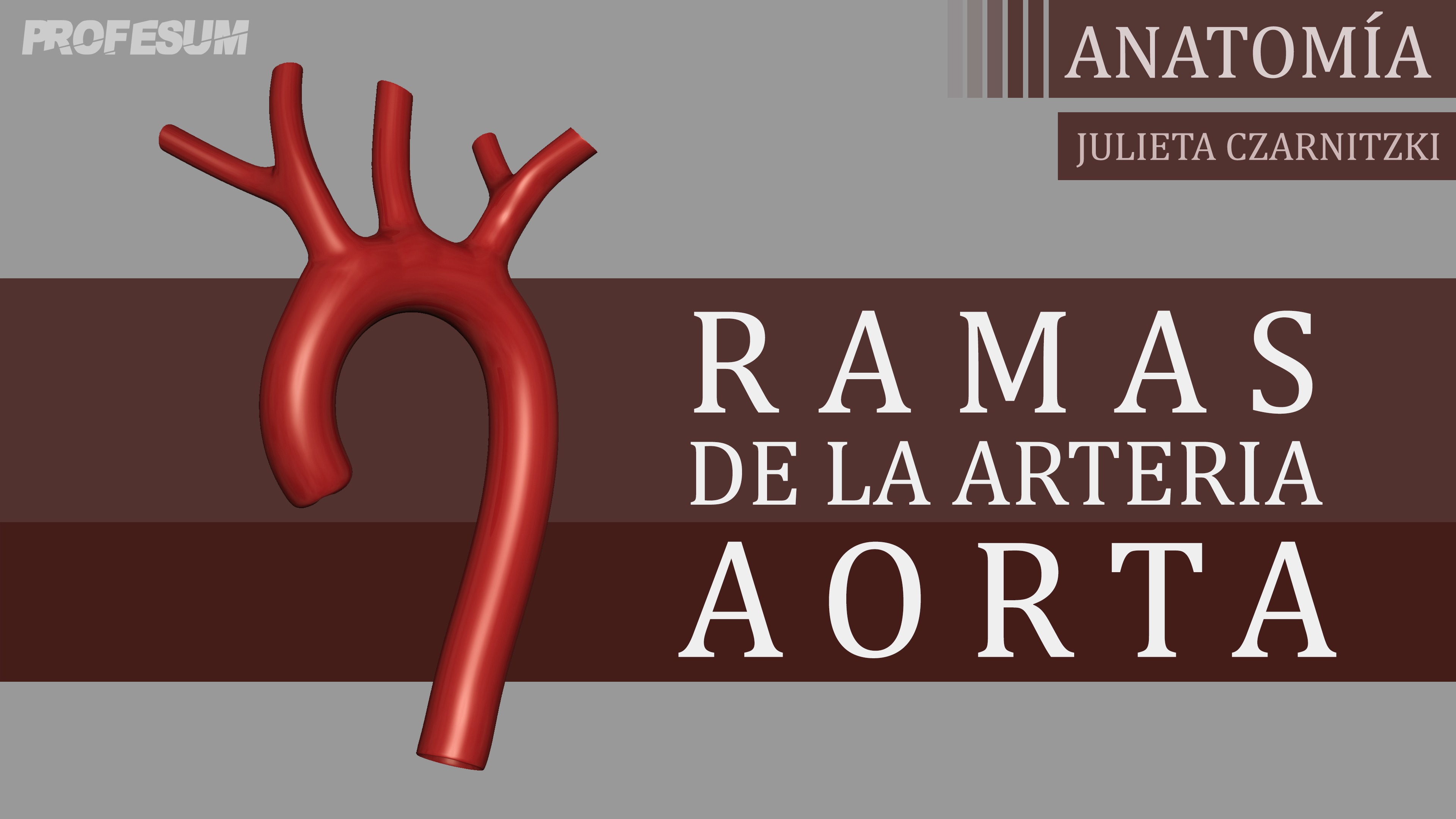 Arteria Aorta (Ramas) - Julieta Czarnitzki