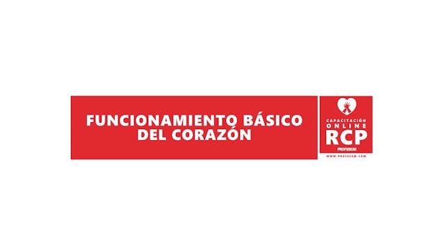 Funcionamiento Básico del Corazón