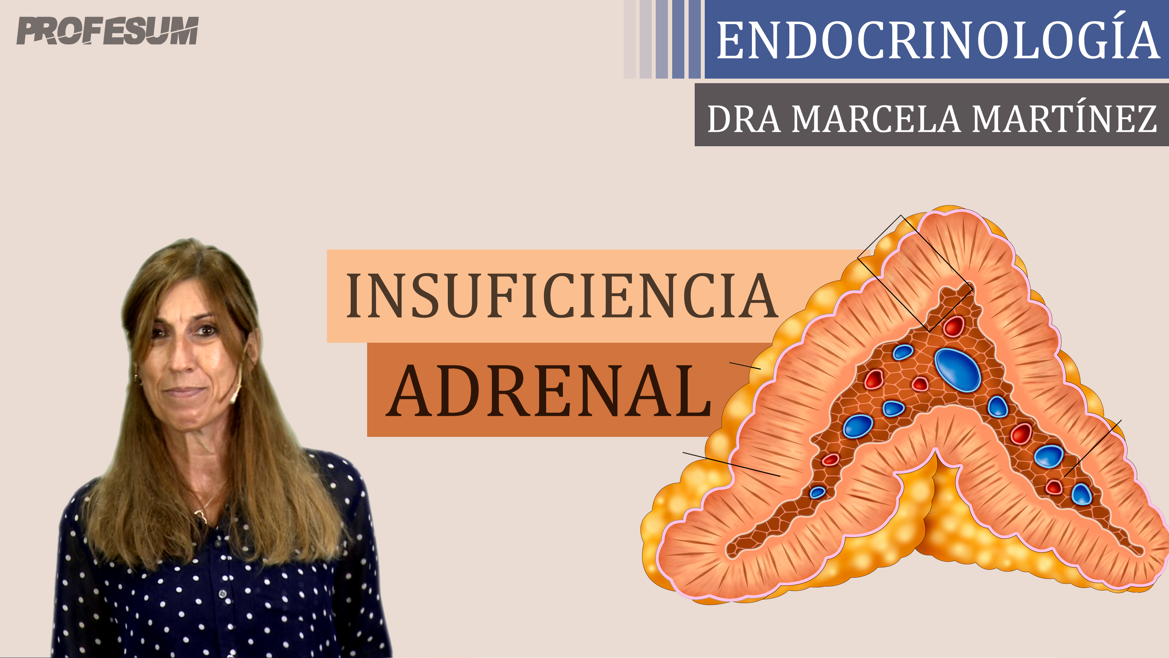 Insuficiencia Adrenal - Dra. Marcela Martínez
