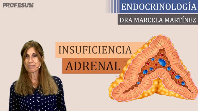 Insuficiencia Adrenal - Dra. Marcela ...