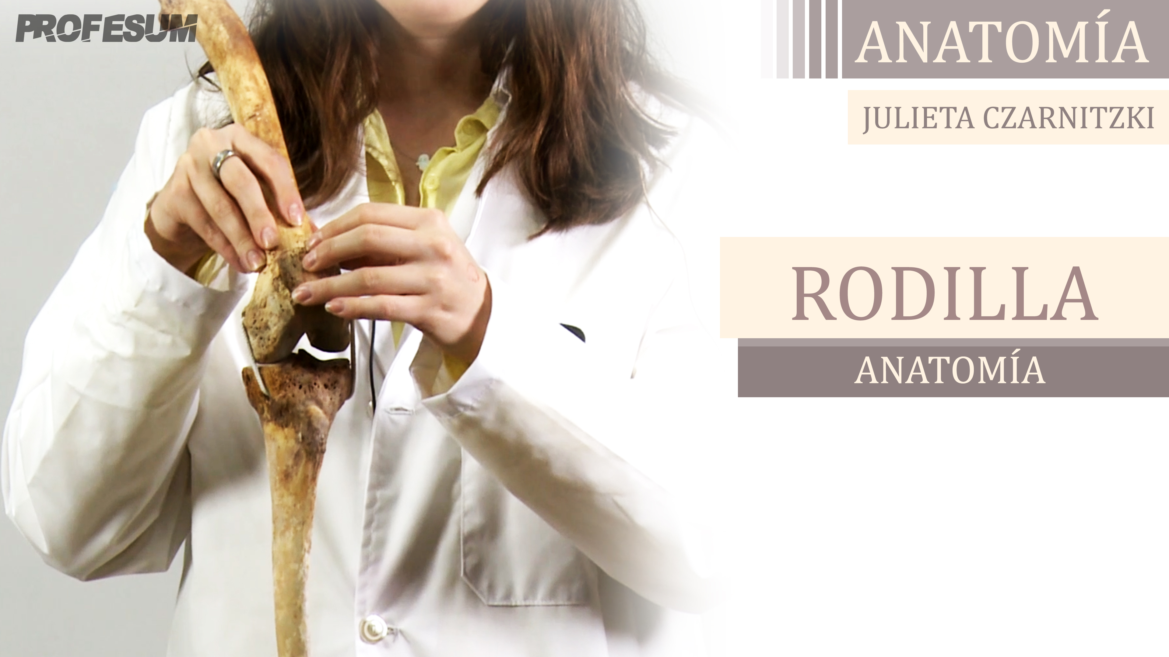 Anatomía Rodilla - Julieta Czarnitzki