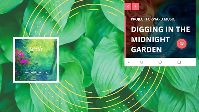 Mr. Composition "Digging in the Midnight Garden"