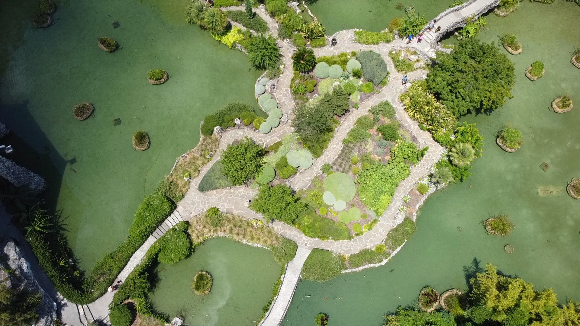 "Japanese Tea Garden" Directed by Tony Polanco