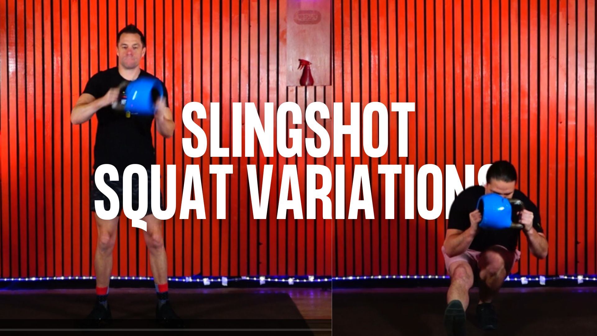 Slingshot Squat Variations