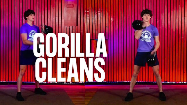 Gorilla Cleans