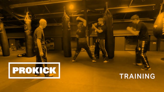 ProKick Self-Defense System