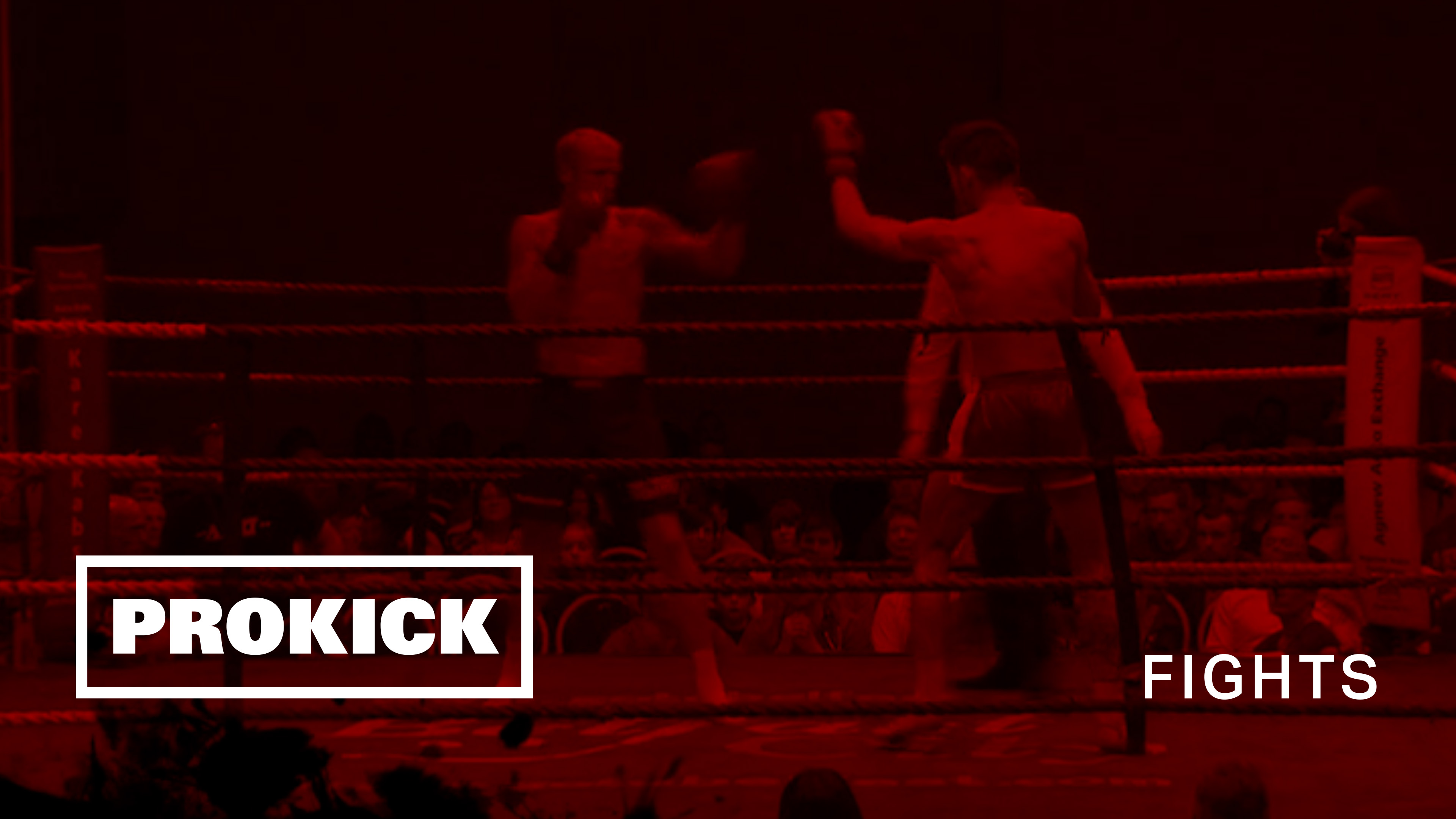 Darren McMullan Vs Lukasz Paprocki - Total Divas