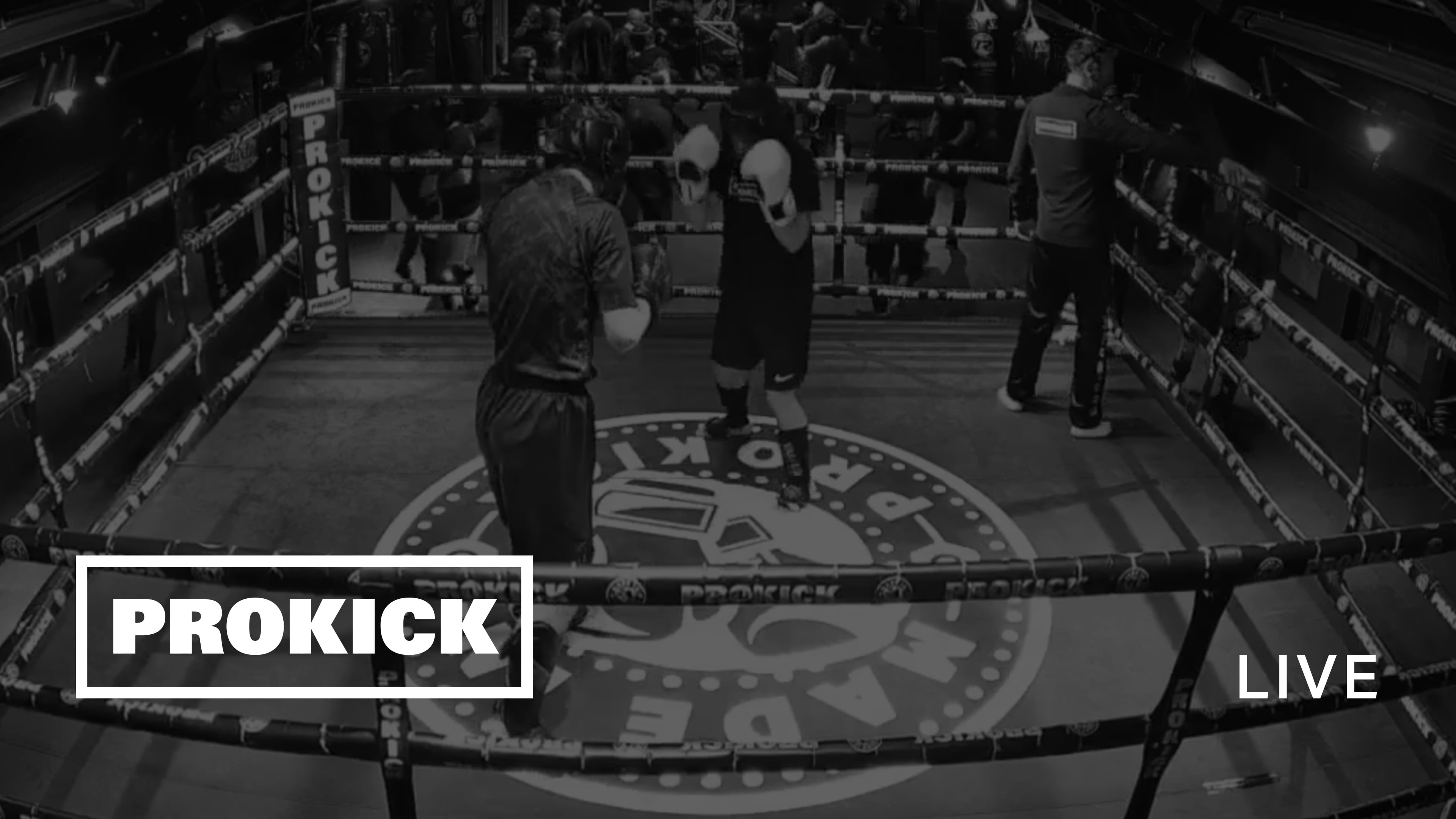 Beginners Live Sparring Oct 30th