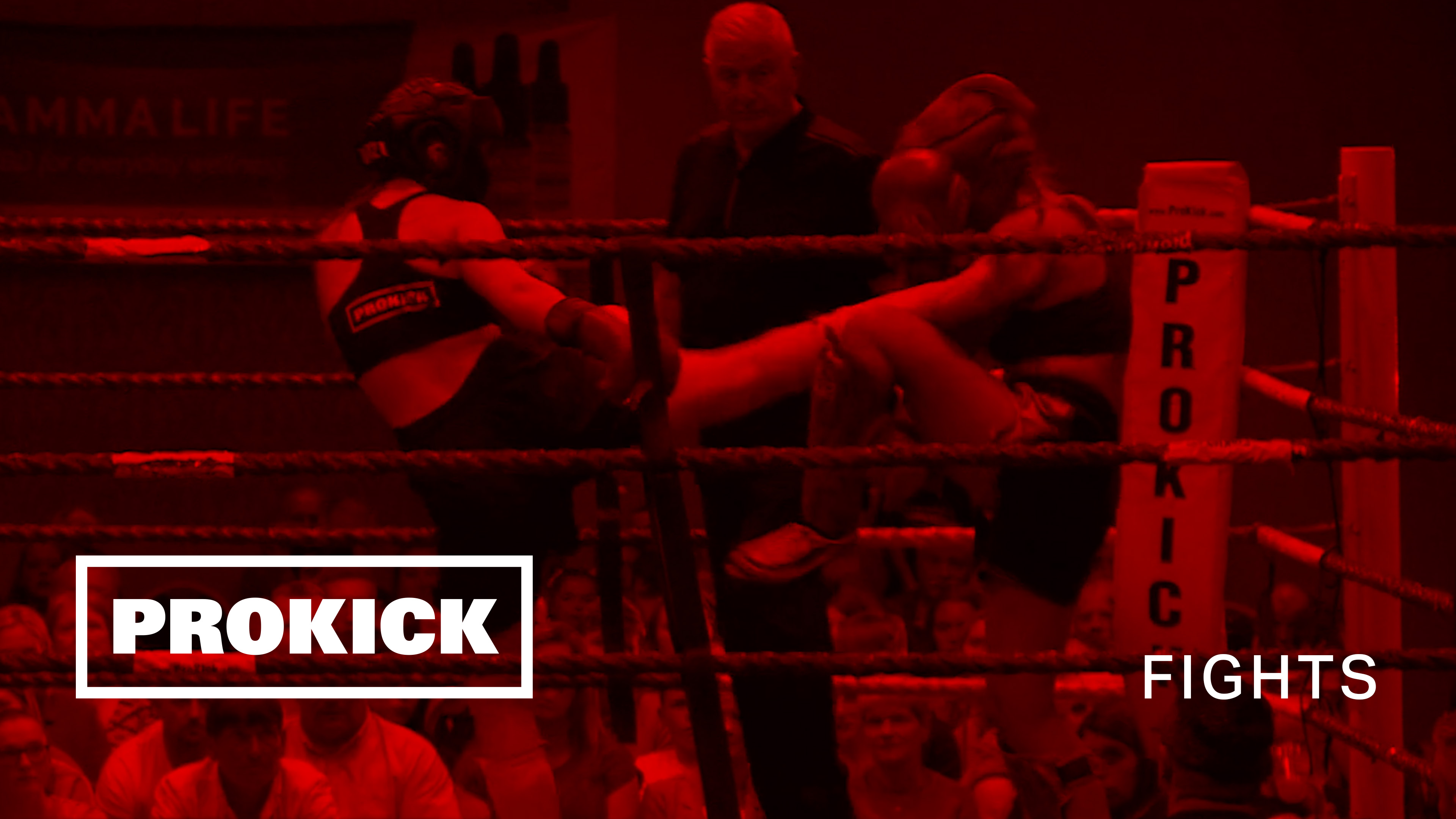 Grace Goody Vs Molly Concannon in Belfast