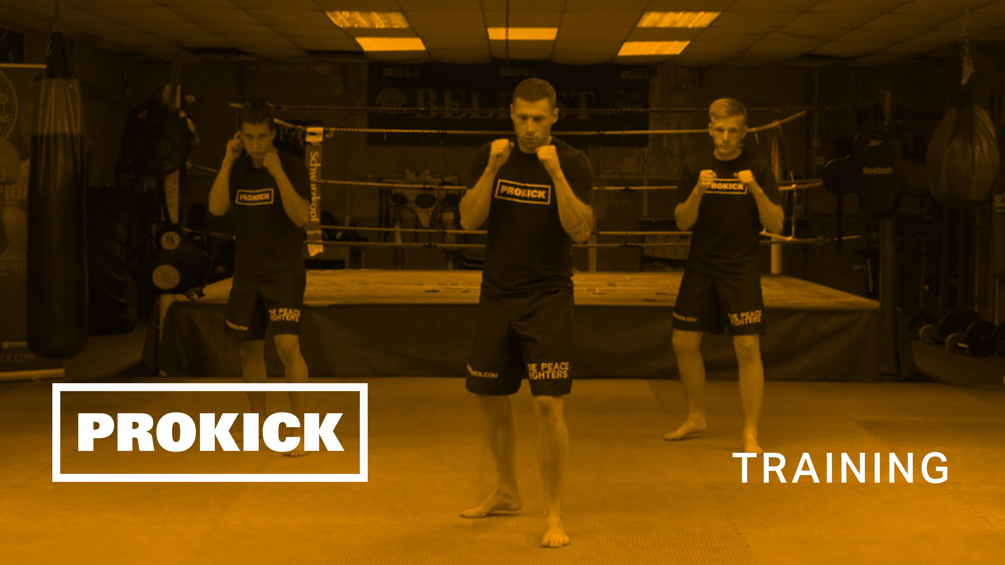 Yellow Belt - Level 1