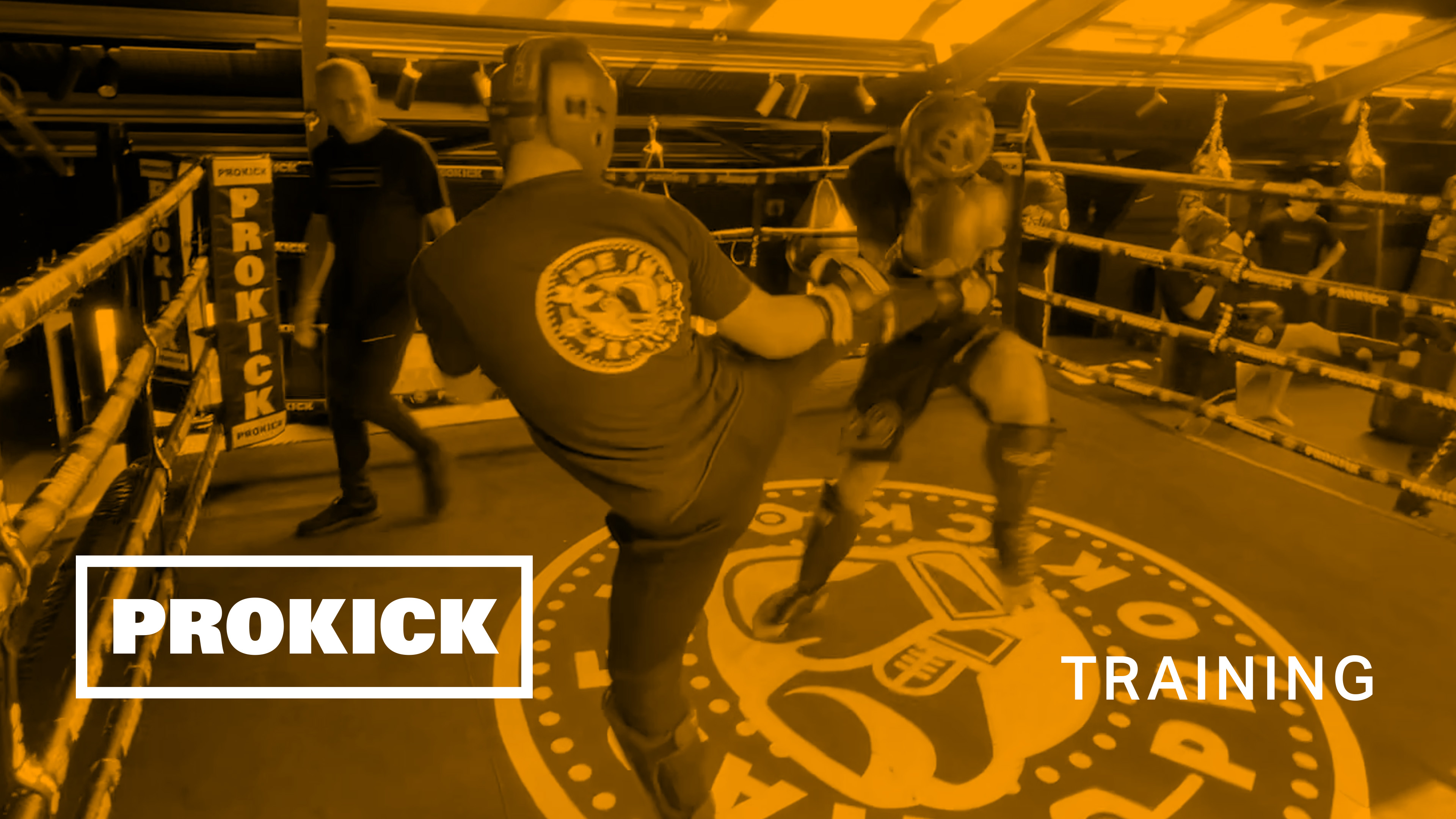 Gary Lynch Sparring for Germany No1