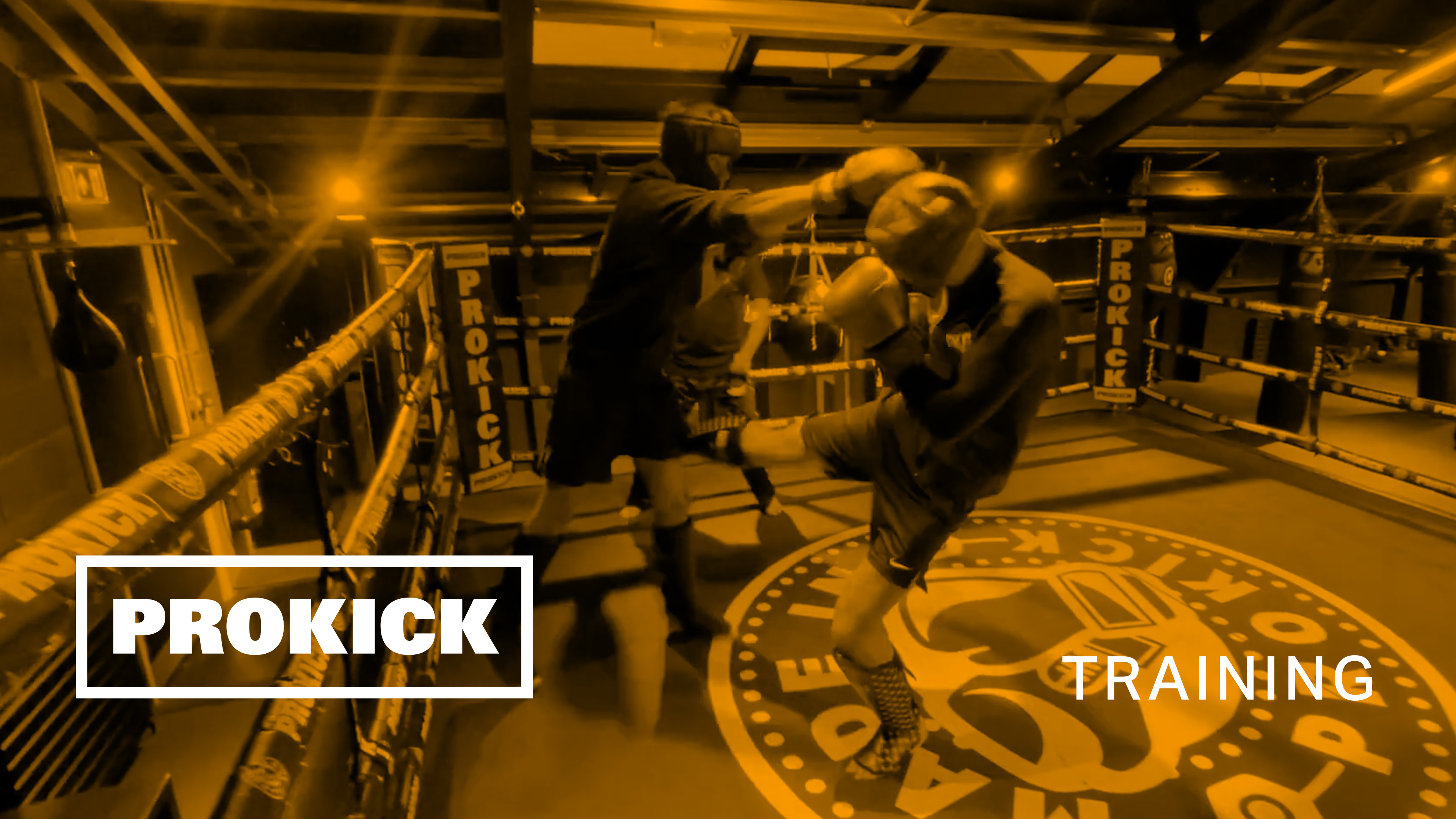 Jonny Shaw Sparring for Germany No2