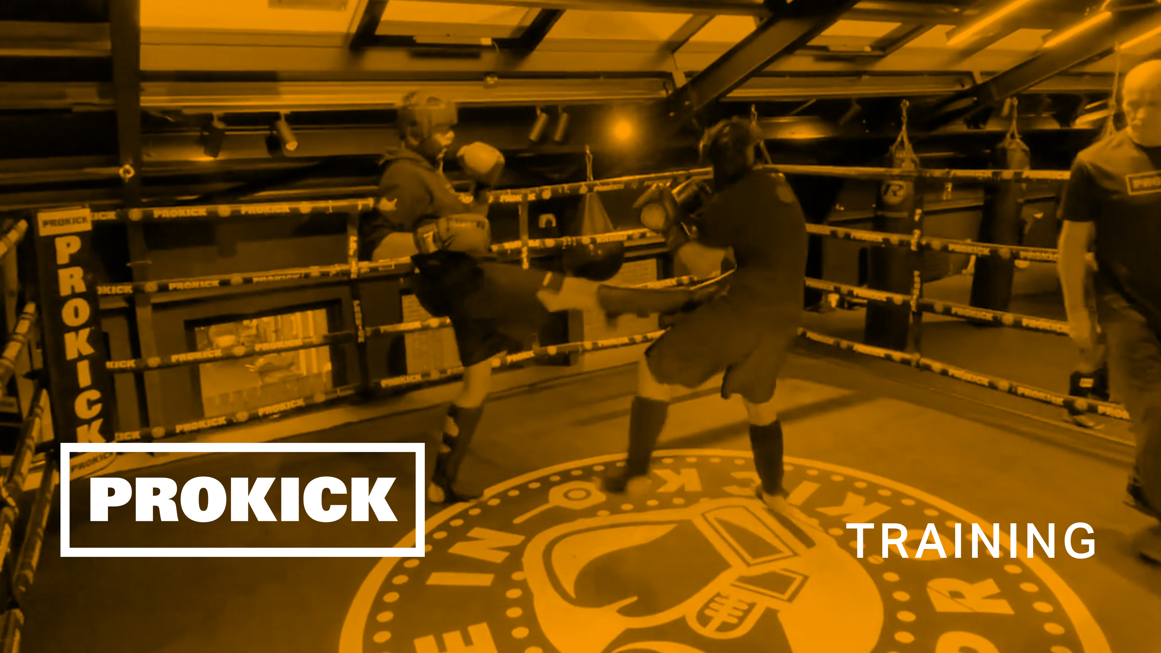 Jonny Shaw Sparring for Germany No1