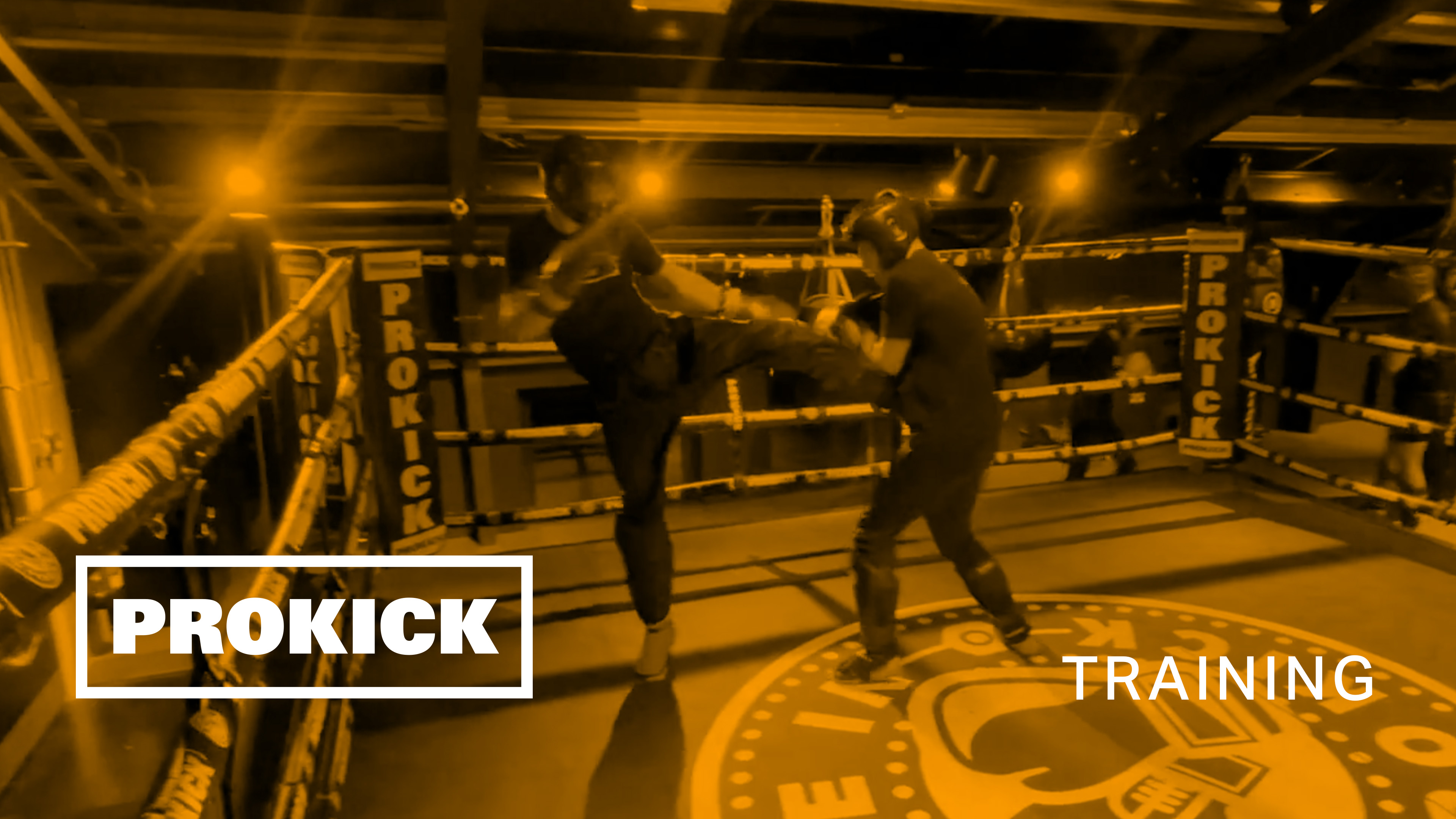 Cahal Walsh sparring for Germany No3