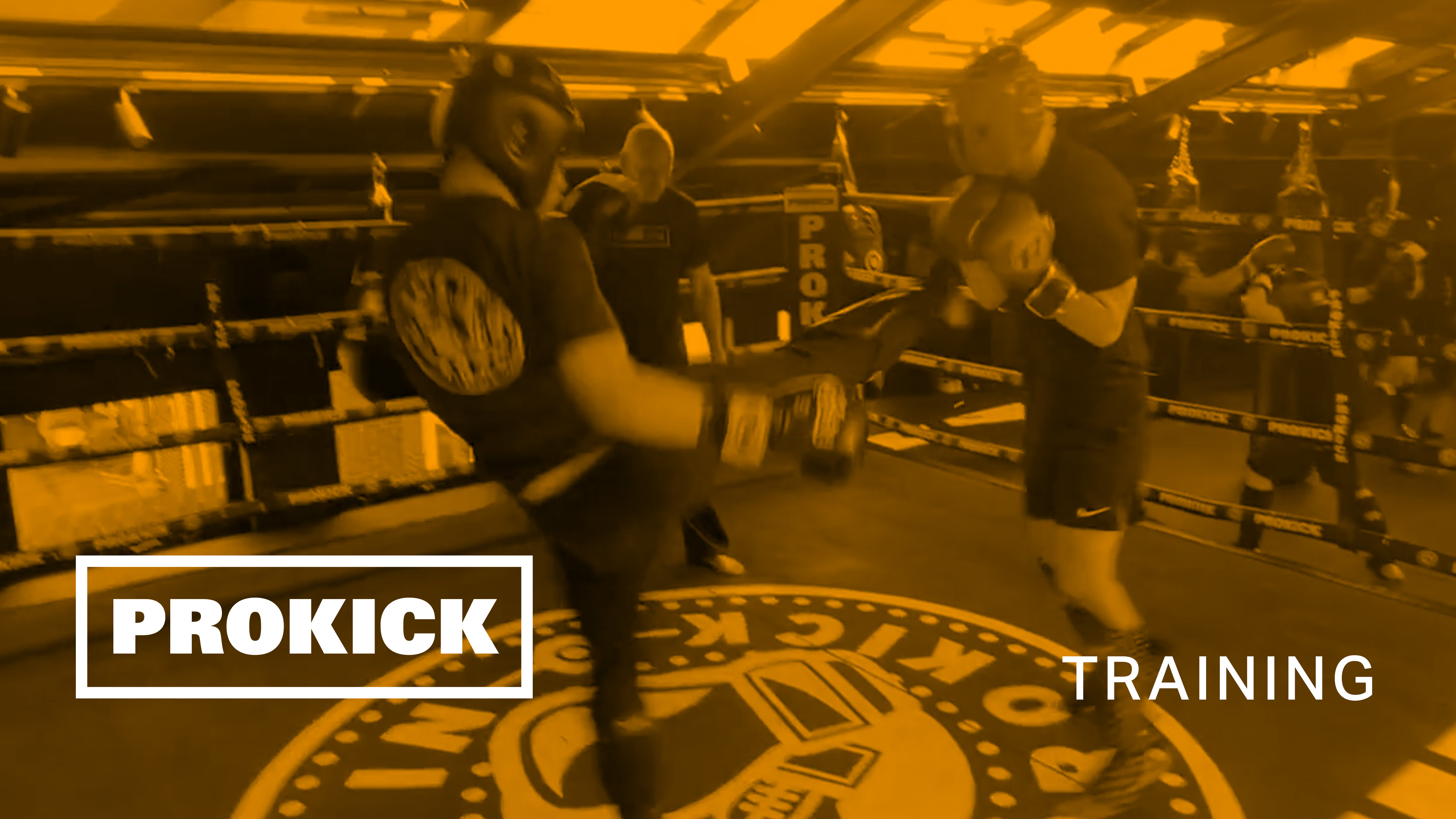 Gary Lynch Sparring for Germany No.2