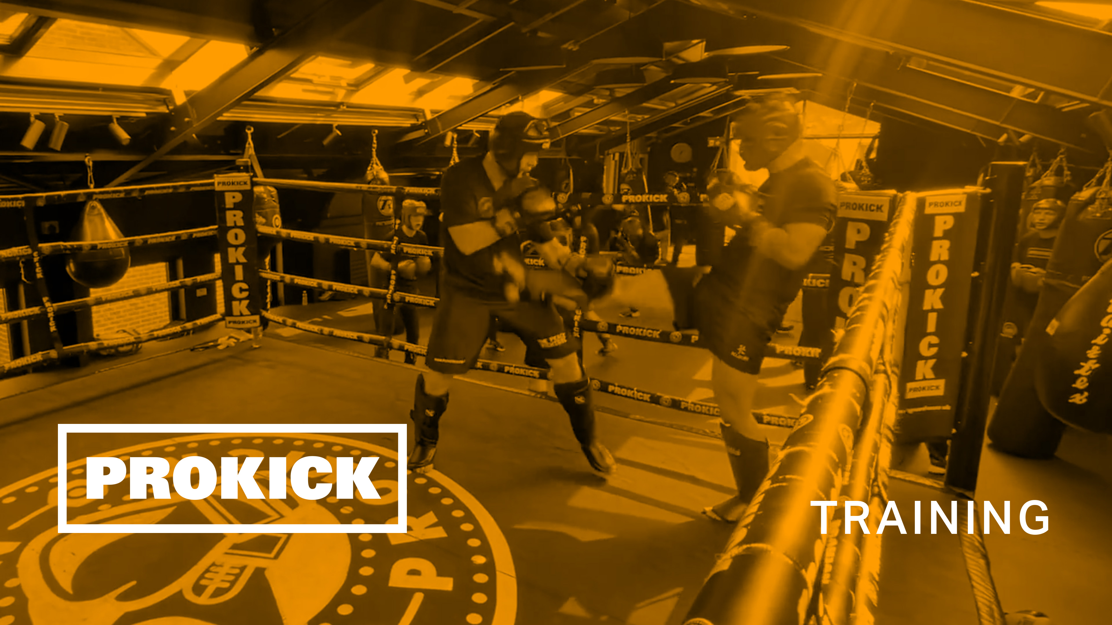 Taylor Martin Sparring for Germany No1