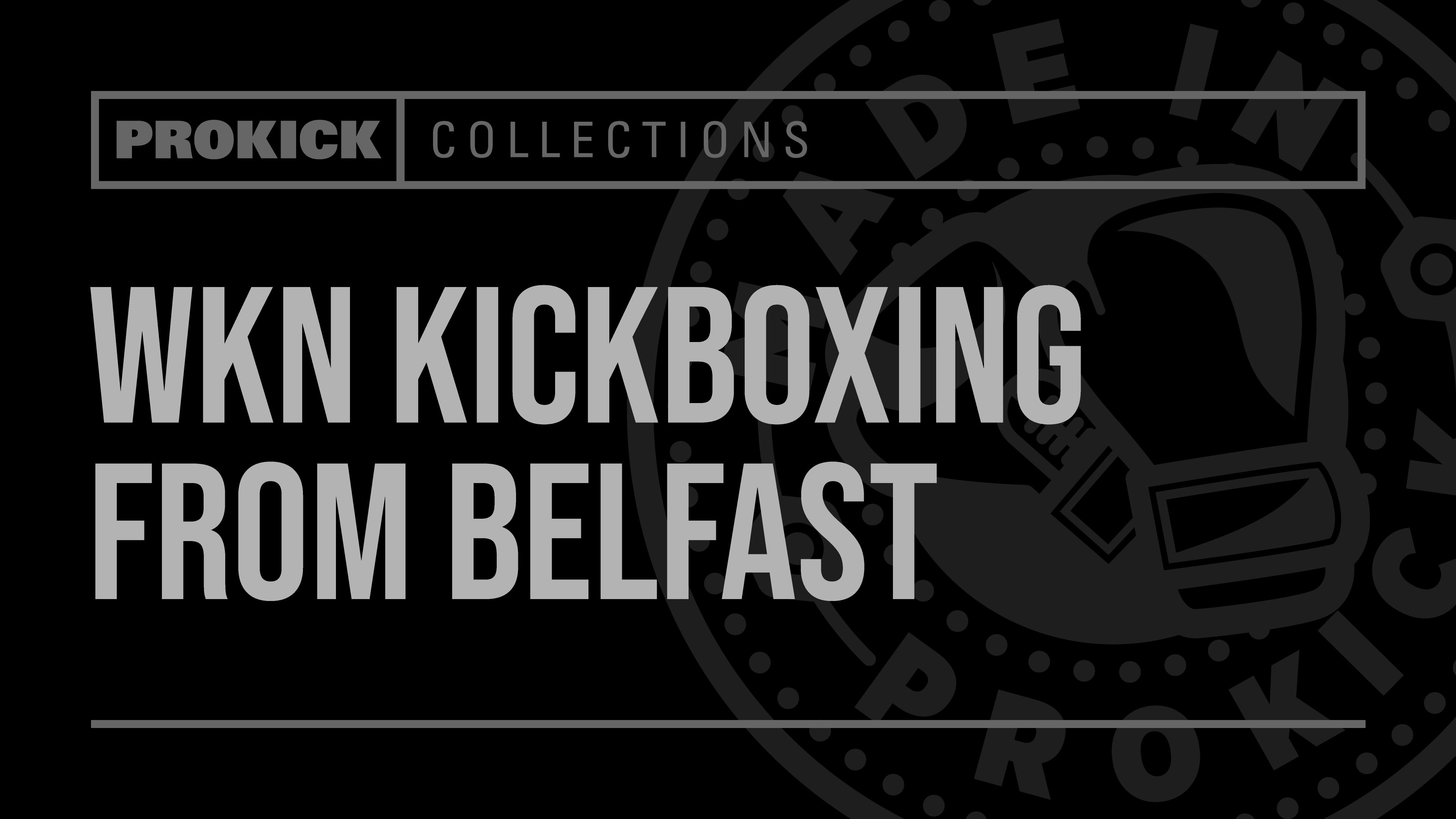 WKN Kickboxing from Belfast