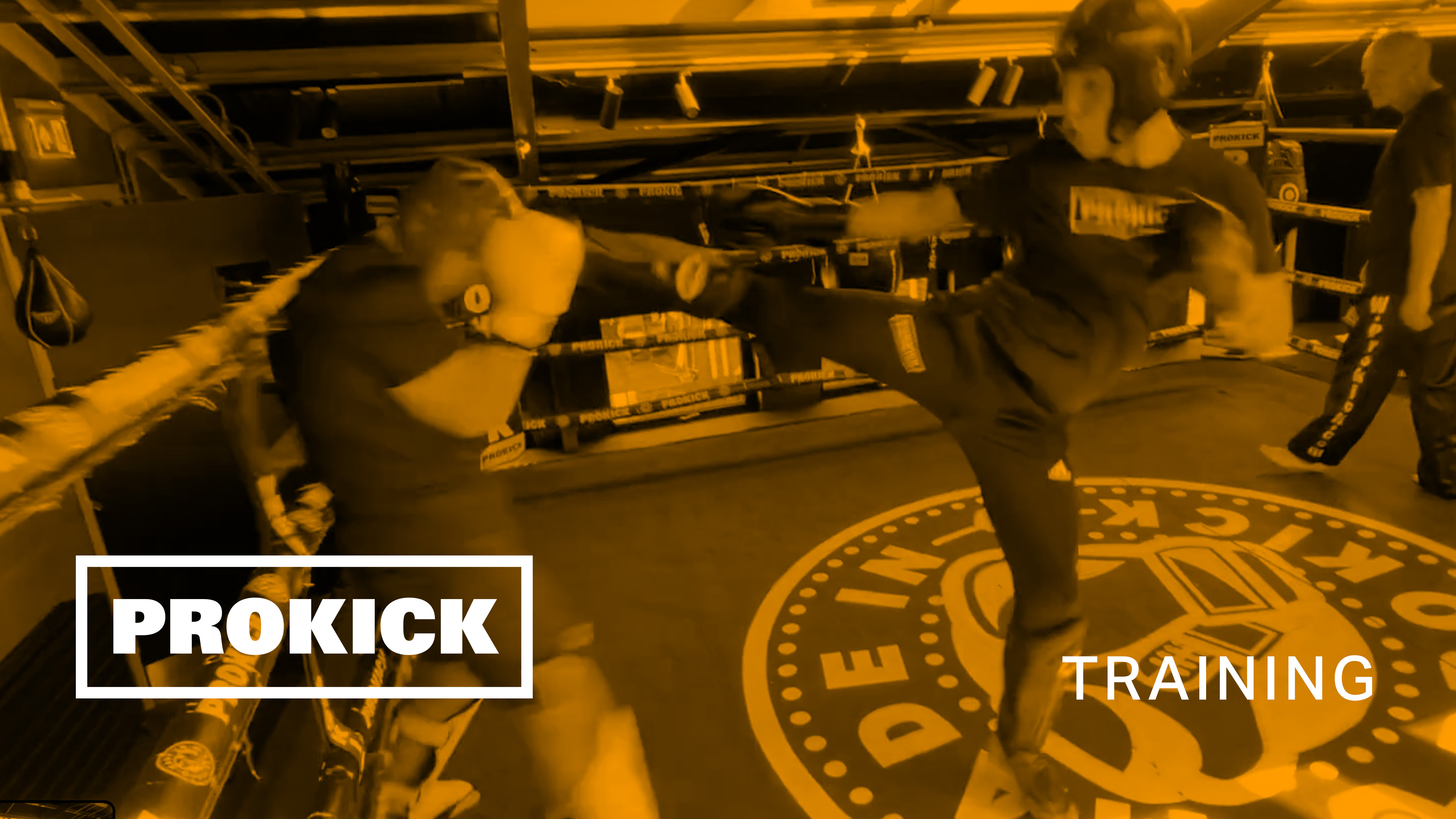 Gary Lynch sparring for Germany No.3