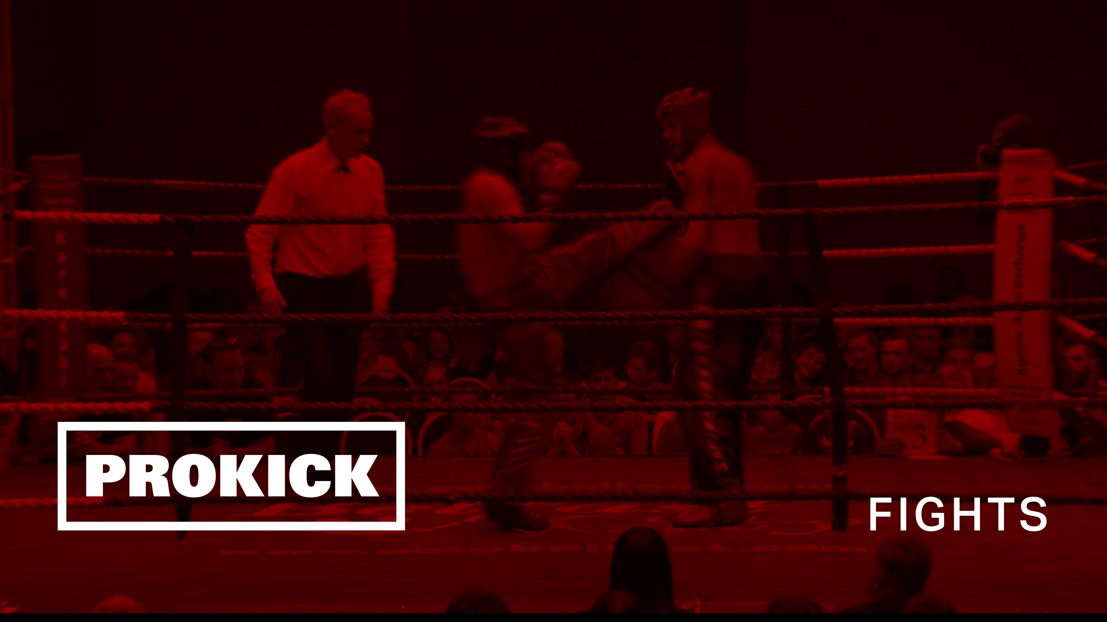 Michael Swann Vs Ian Callinan - Total Divas