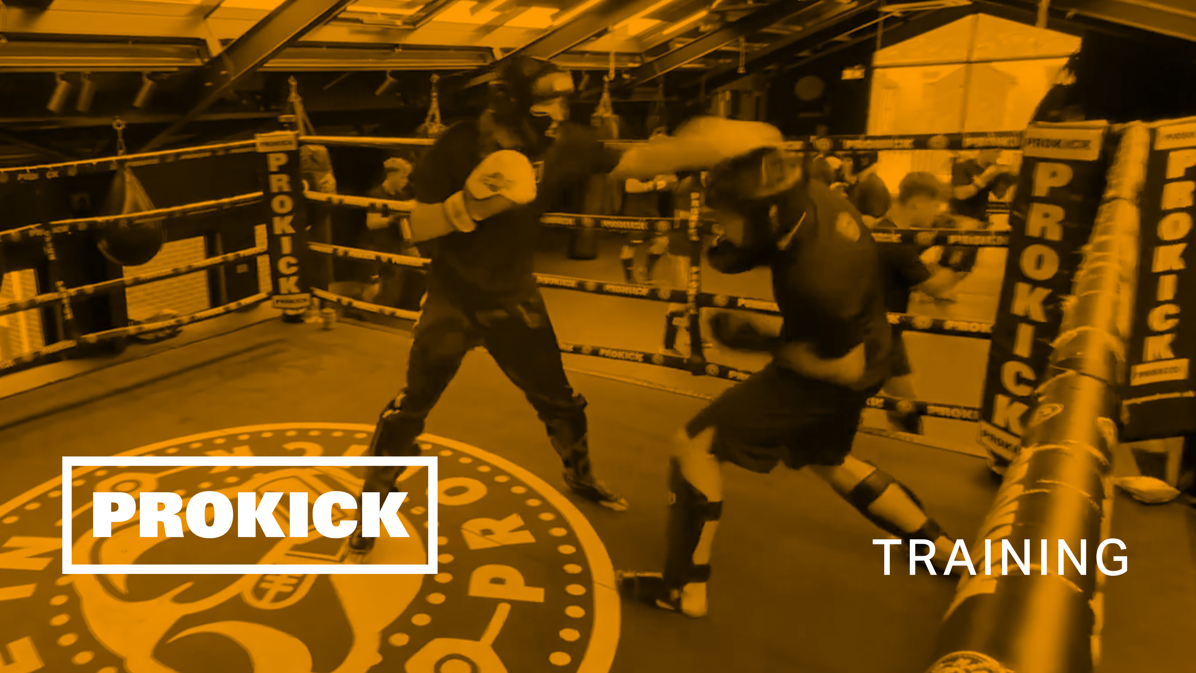 Cameron Parkinson first sparring session 