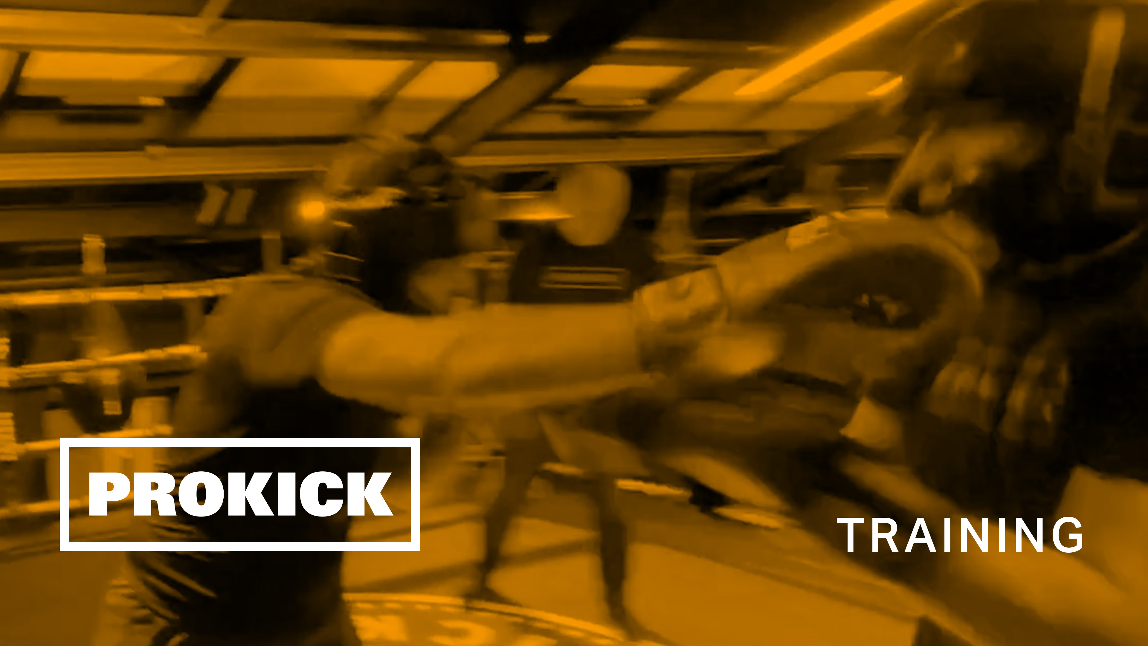 Lewis Gregg Sparring for Germany No1