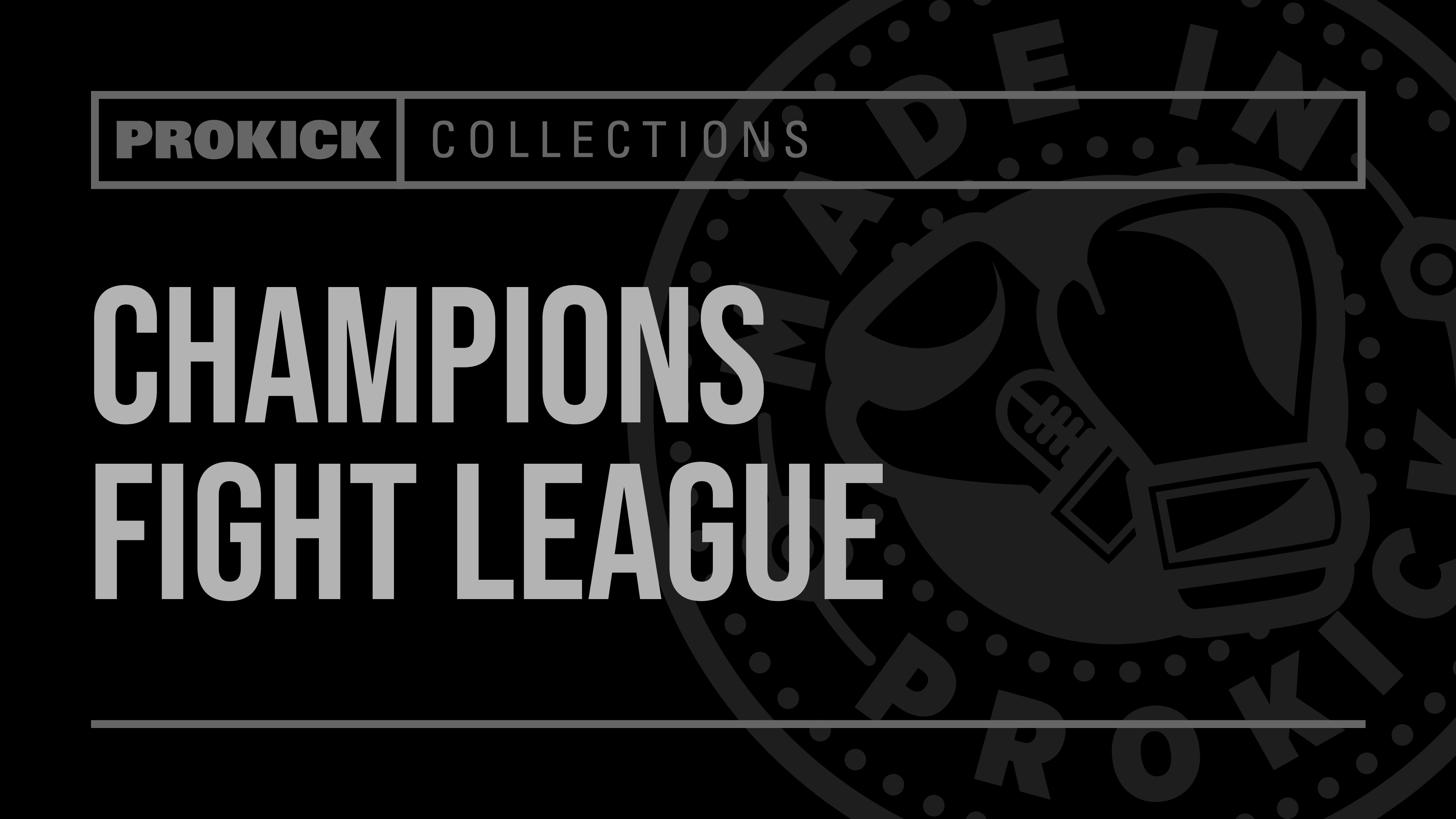 Champions Fight League