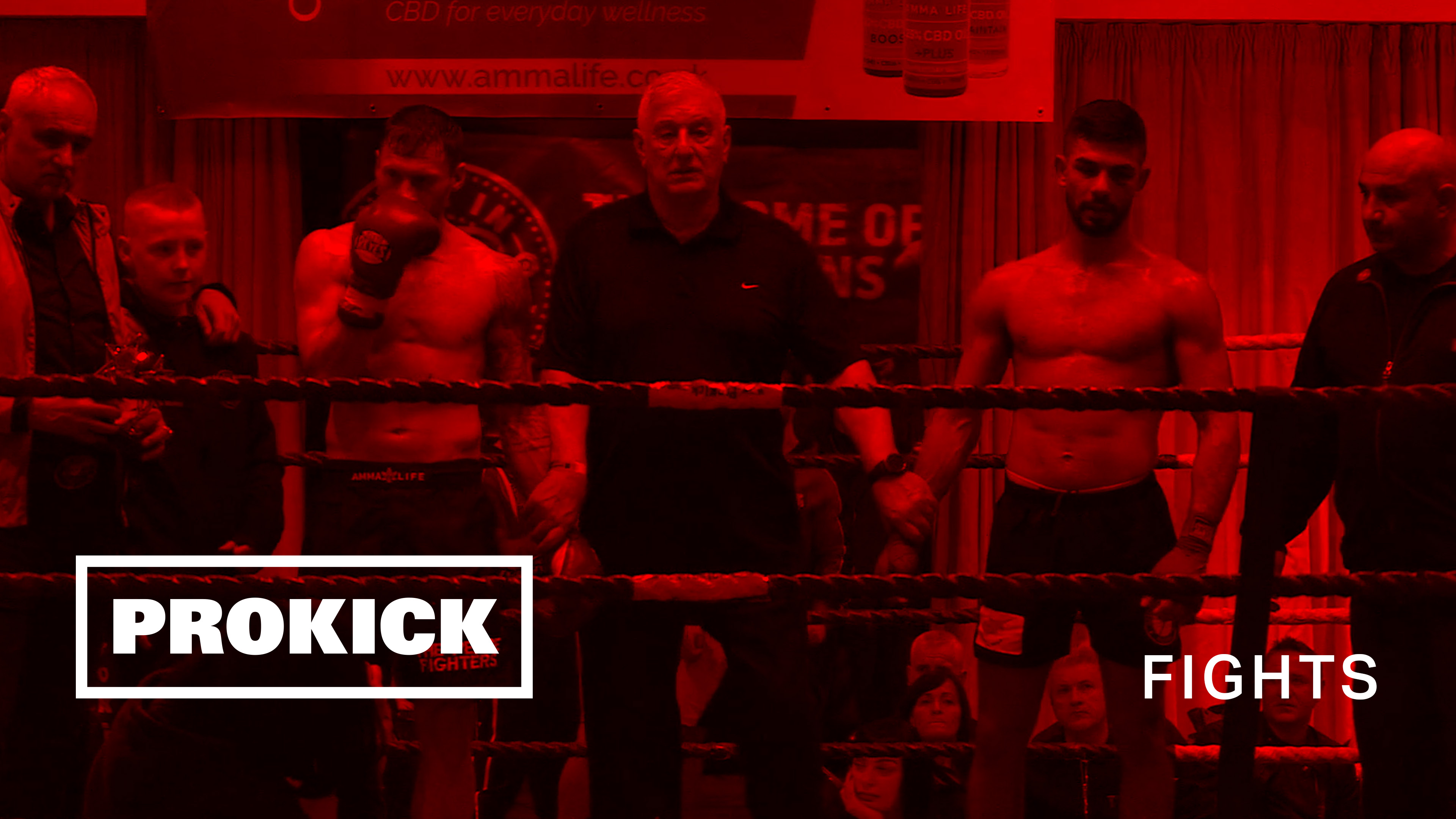 SwiftSmith Vs Venizelou Belfast