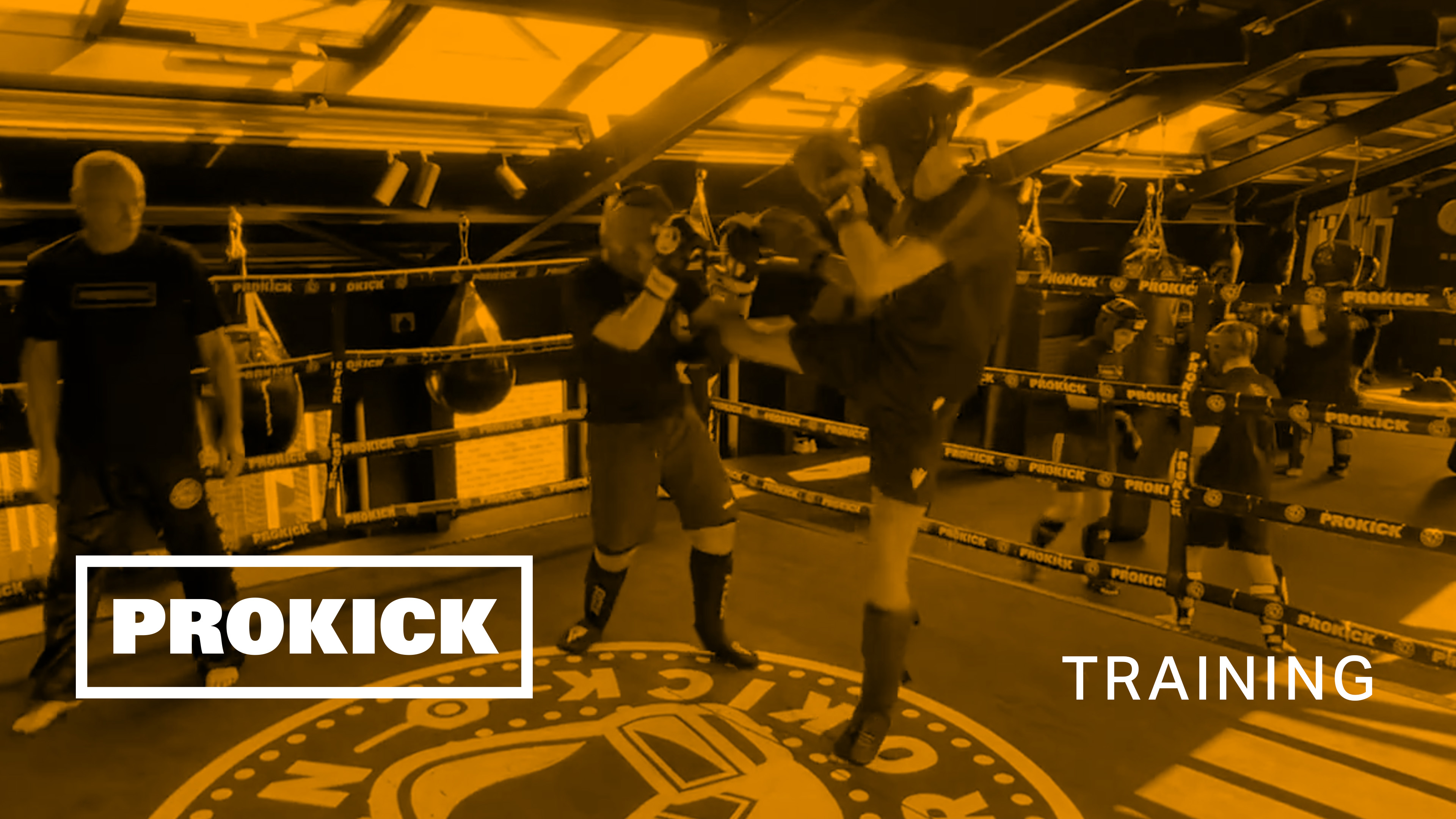 Jonny Shaw sparring for Germany No 3