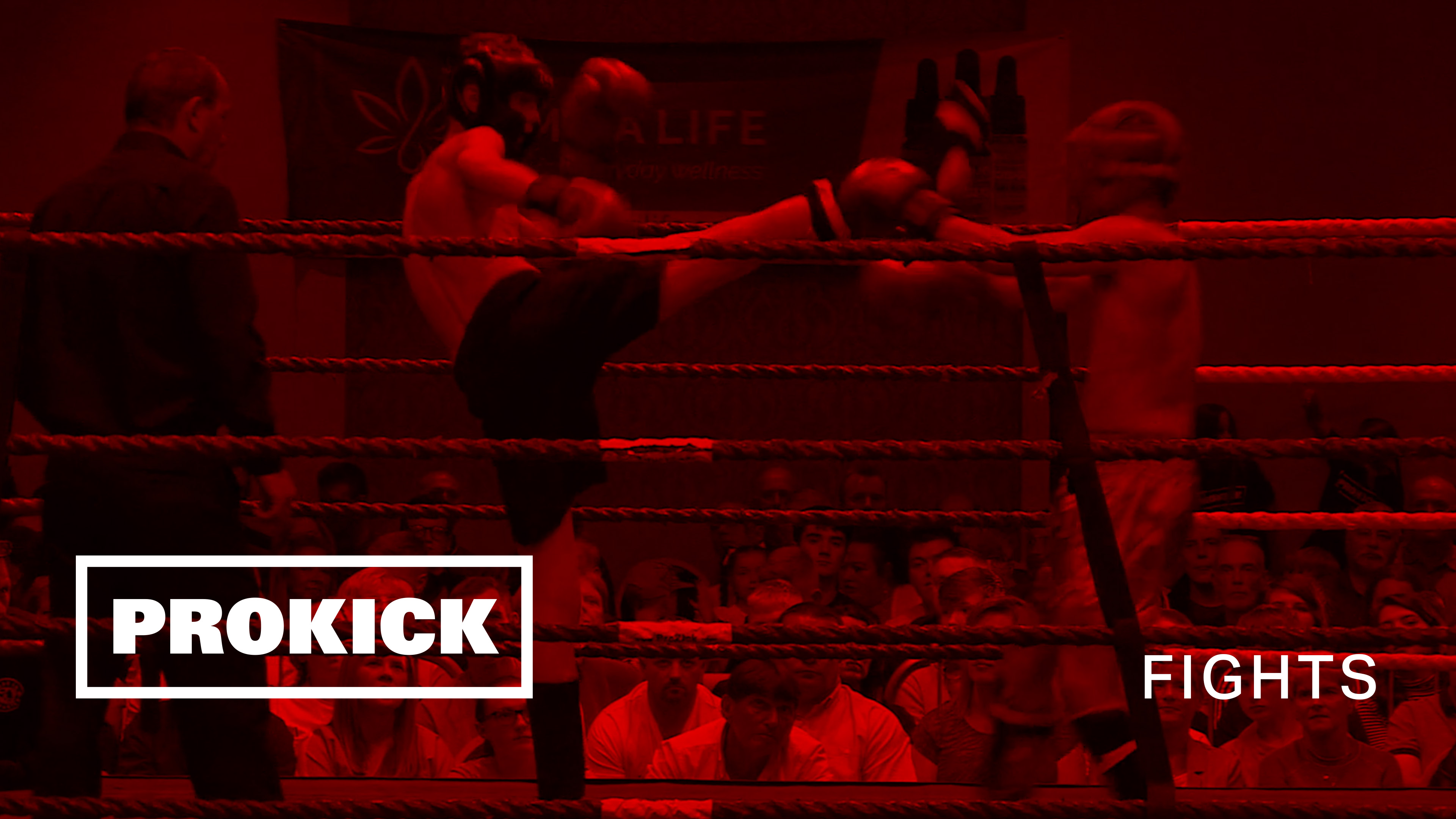 Snoddon Vs Kojok in Belfast