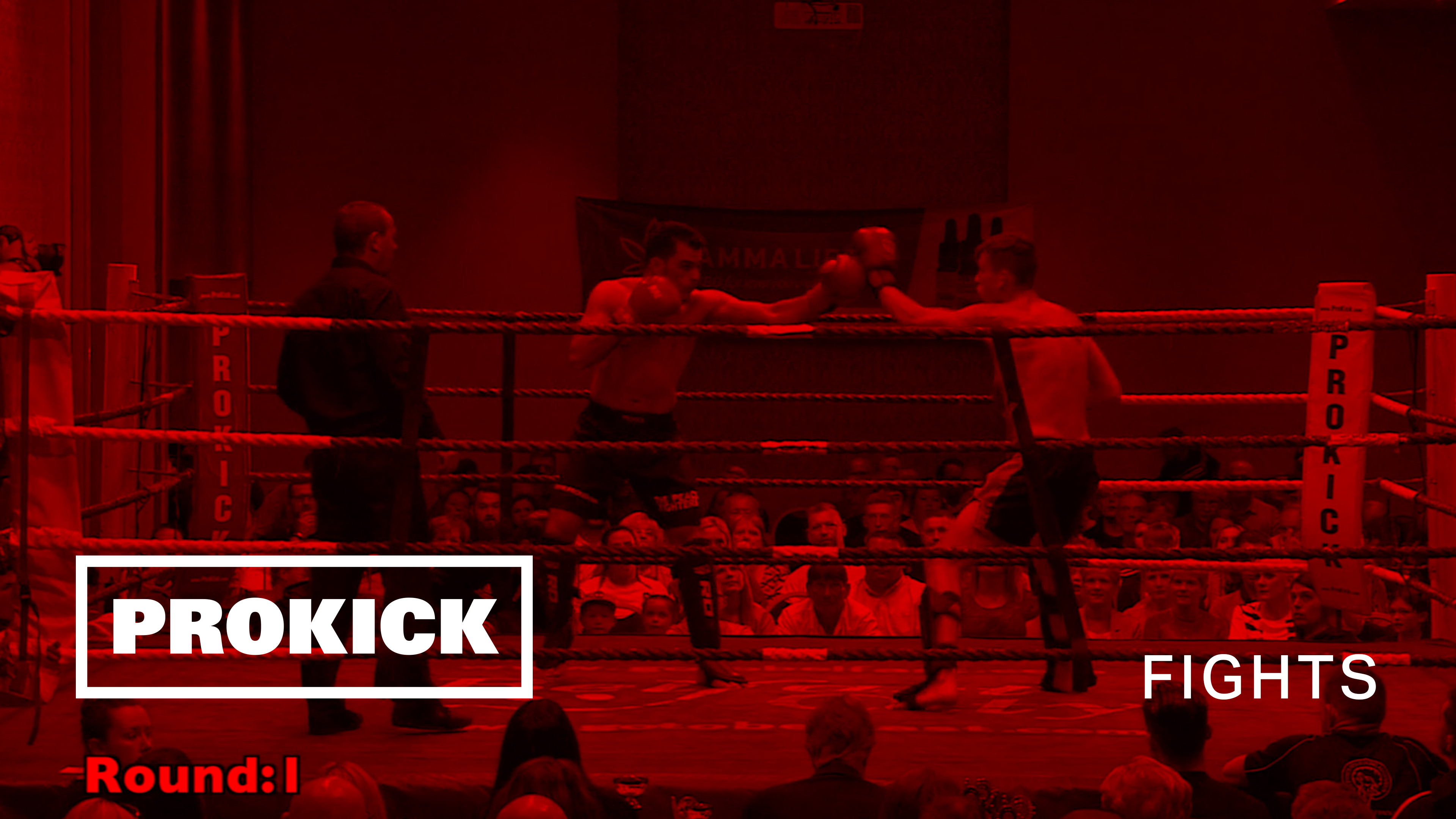 Salman Shariati Vs Eric McCormack K1 match in Belfast