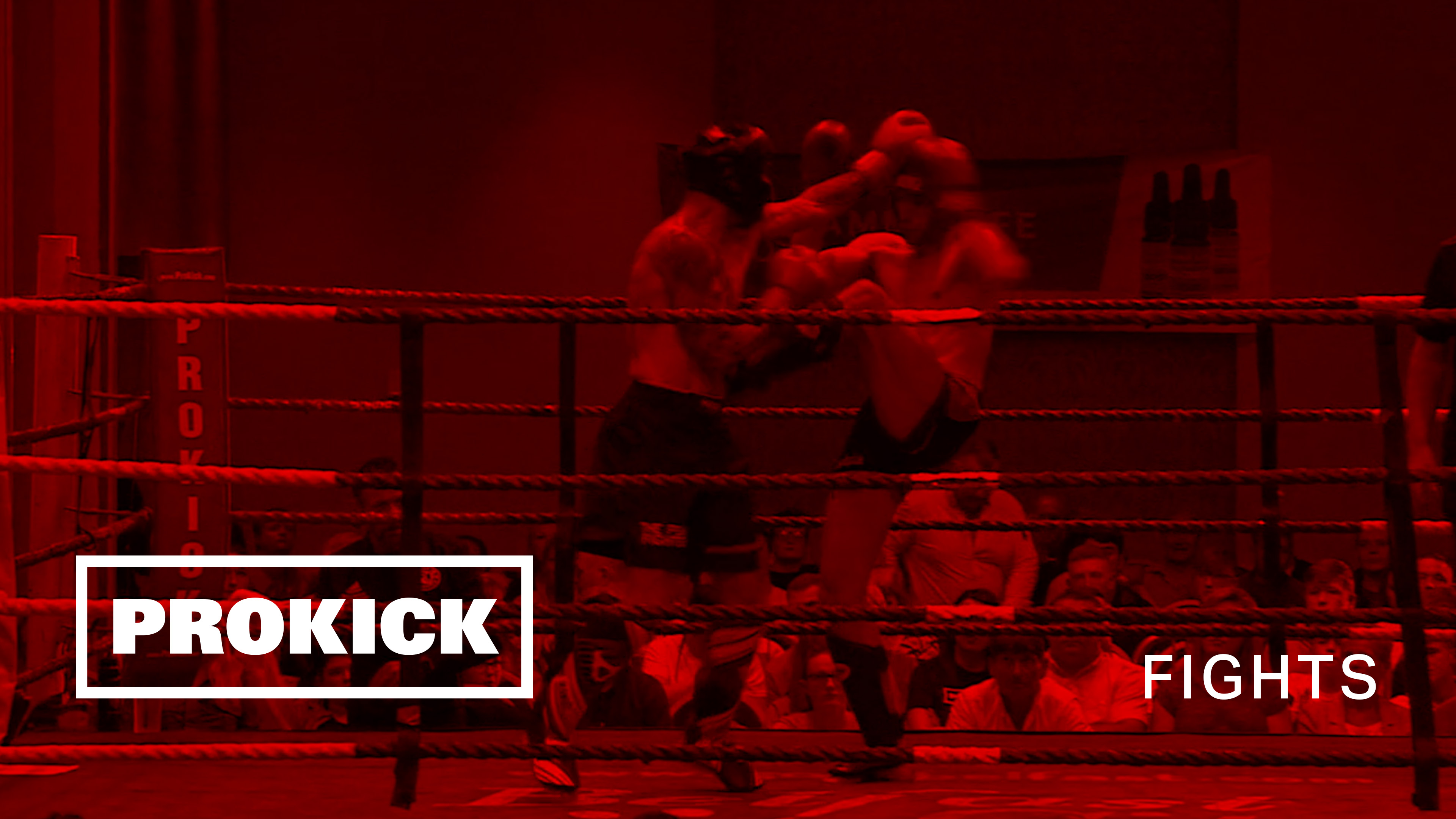 Reza Davies Vs Davis McCormack in Belfast