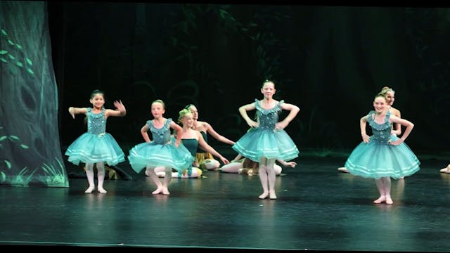 Forest Fairies