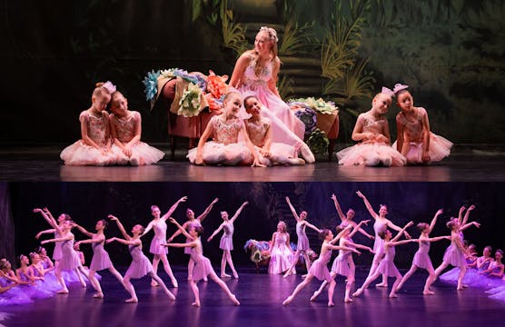 Lullaby Fairies - Ballet 1,5,6