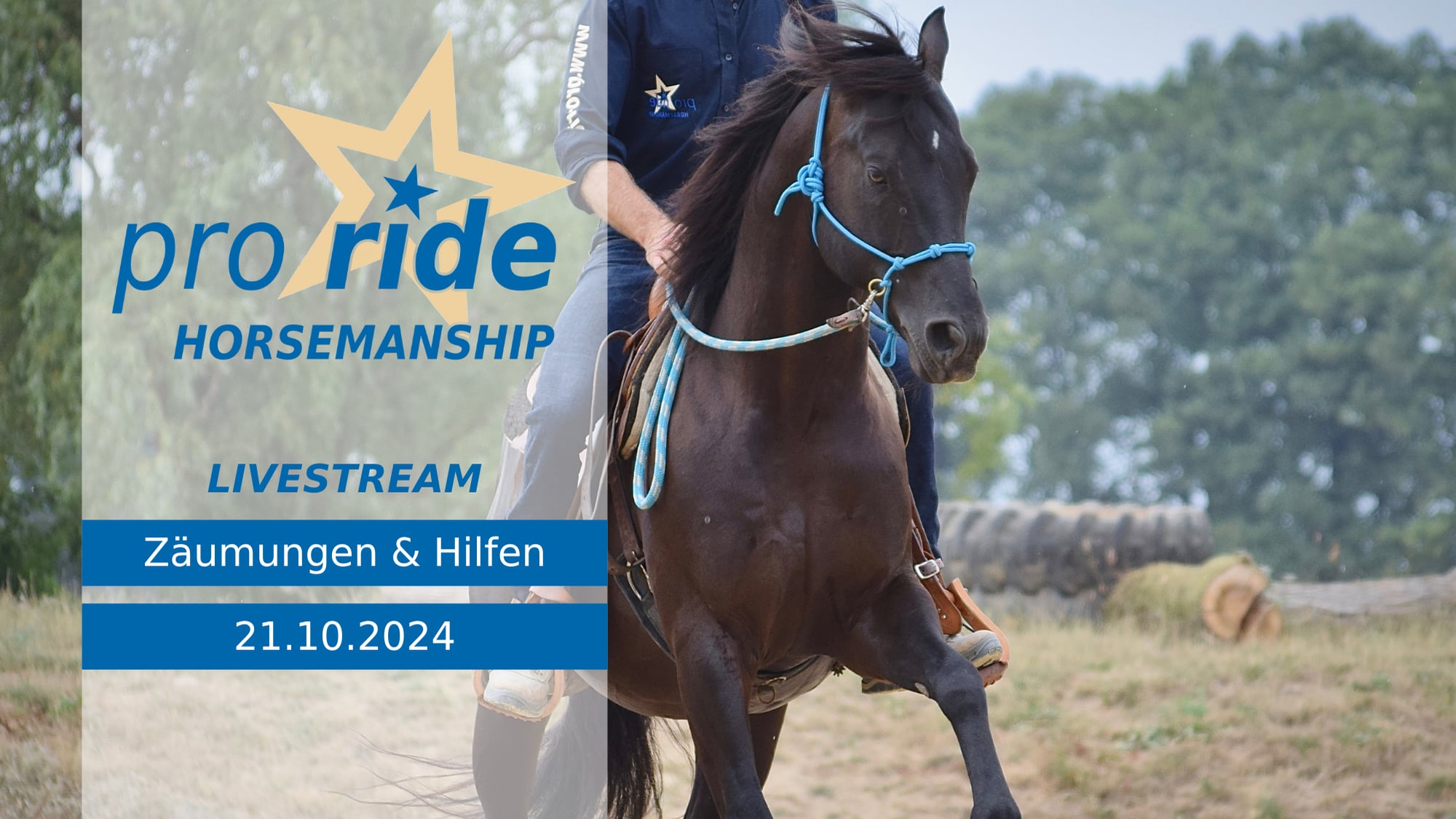 pro ride horsemanship